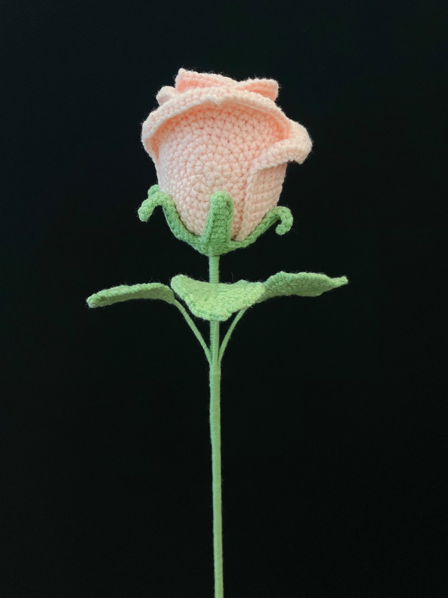 Cup-Shaped Rose