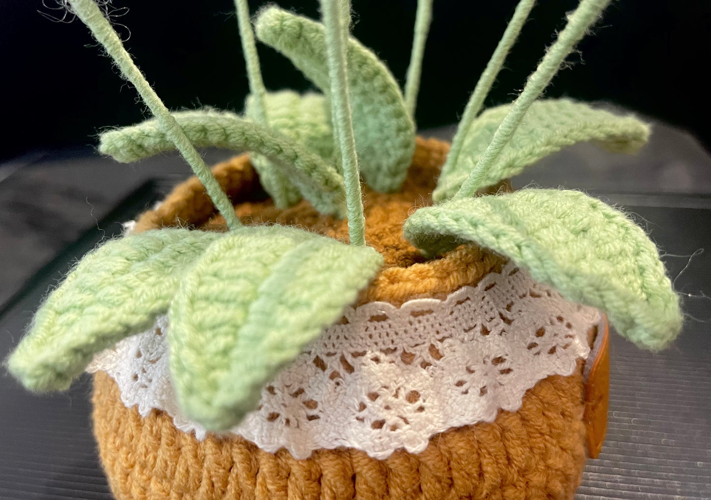 Rose & Daisy Pot