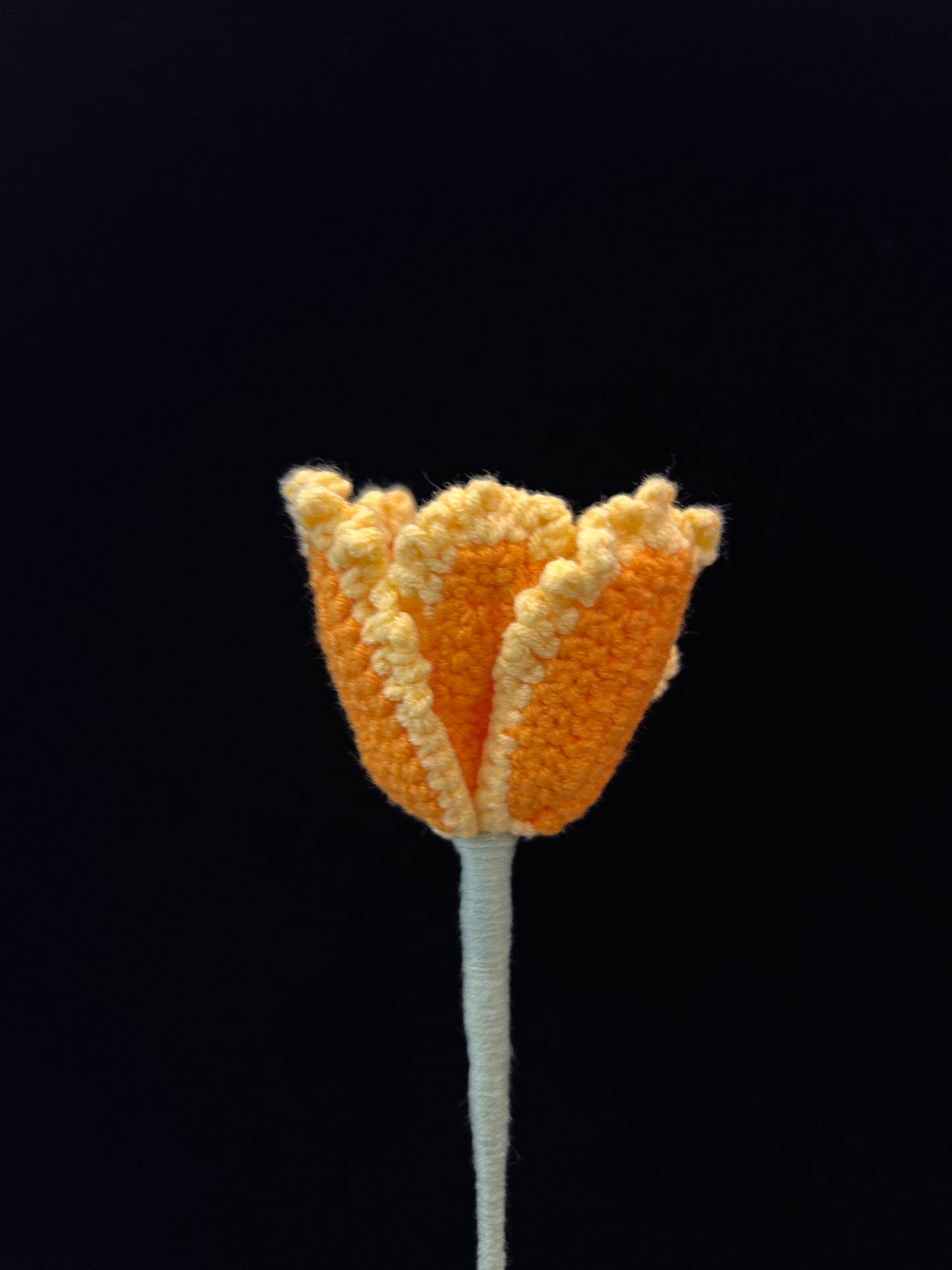 Tulip (Curly Petal)