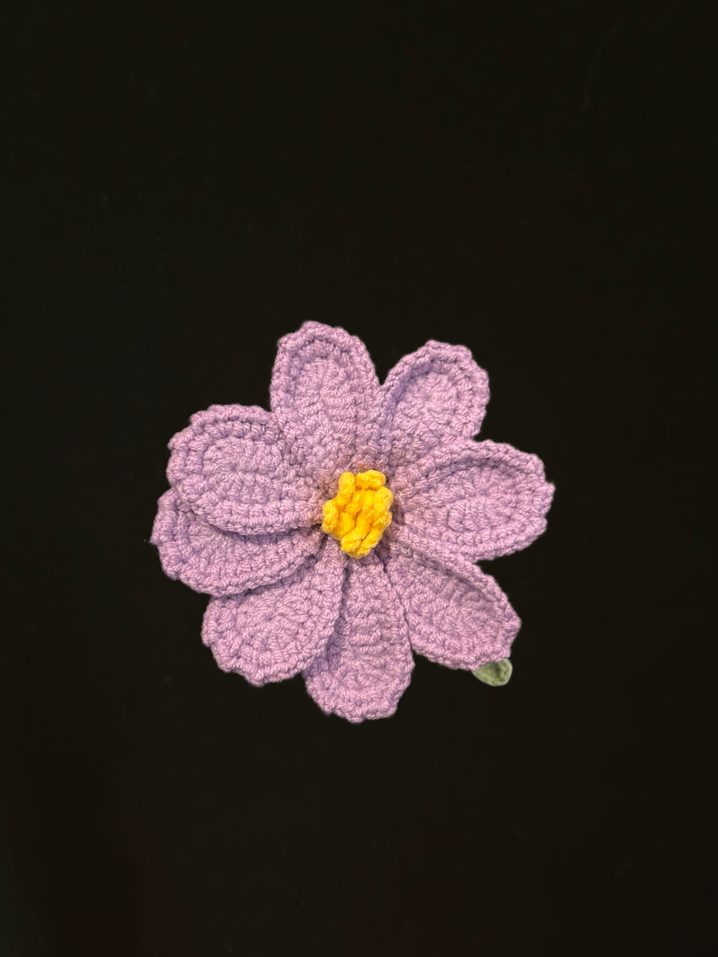 Galsang Flower