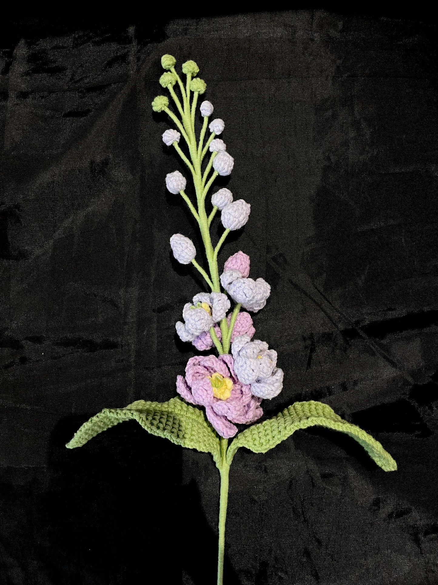 Delphinium
