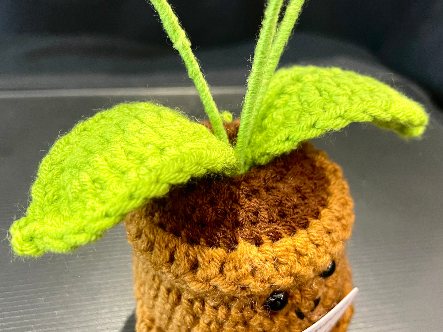 Emotional Support Plant (Tulip)