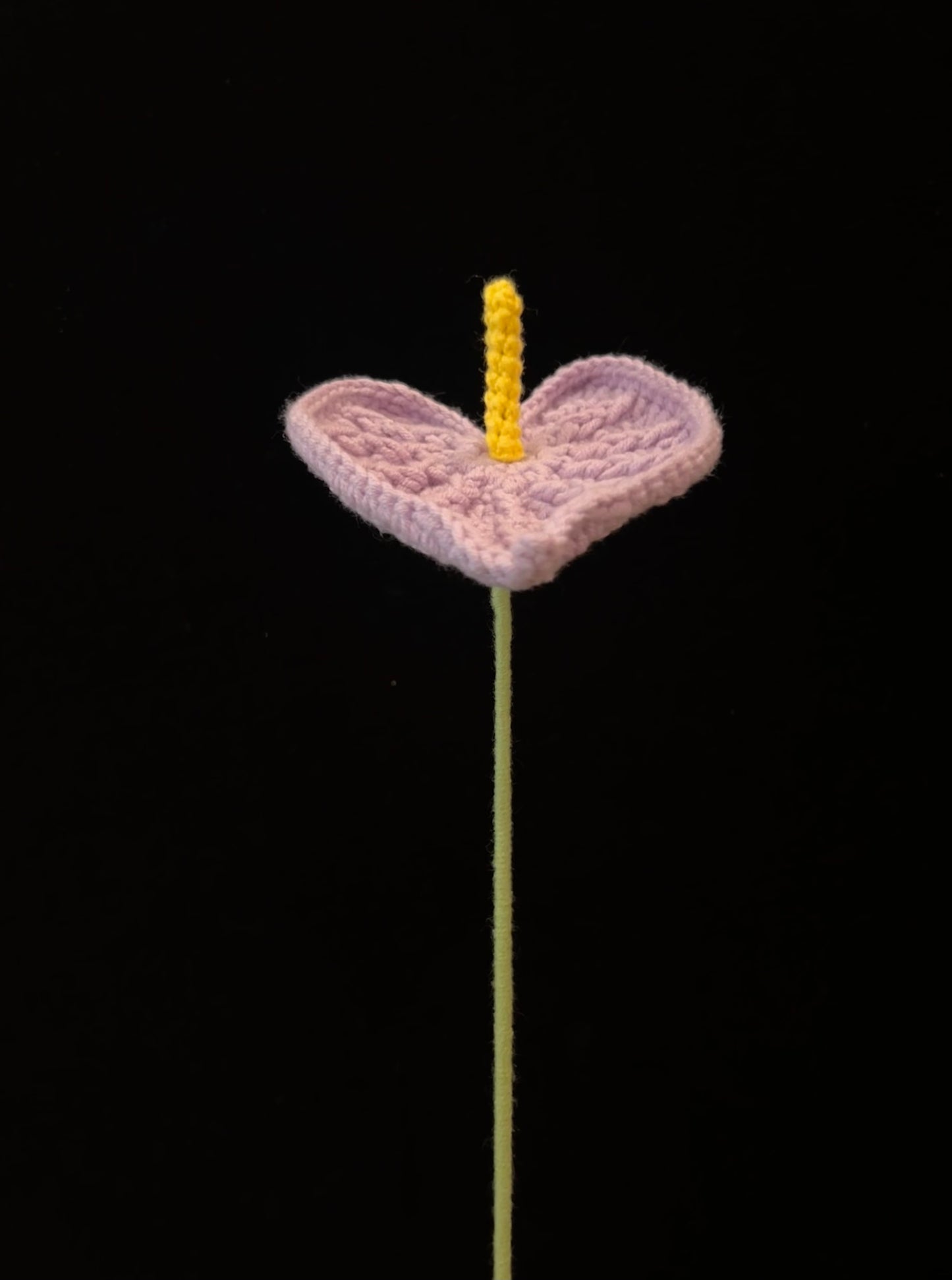 Anthurium