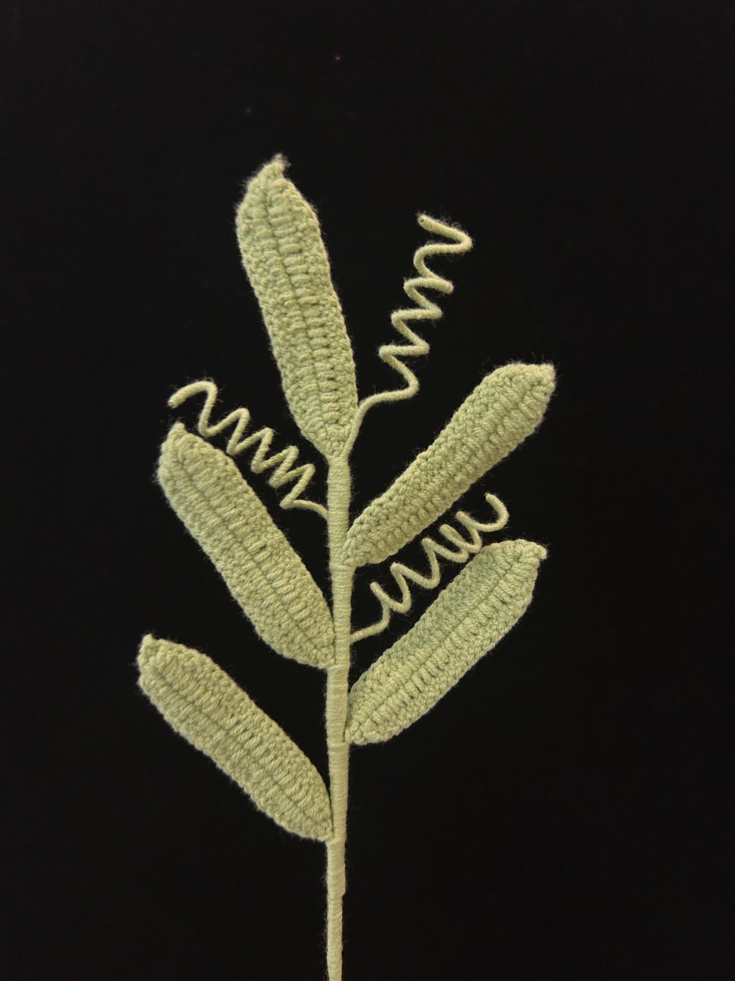 Leaf with Tendrils
