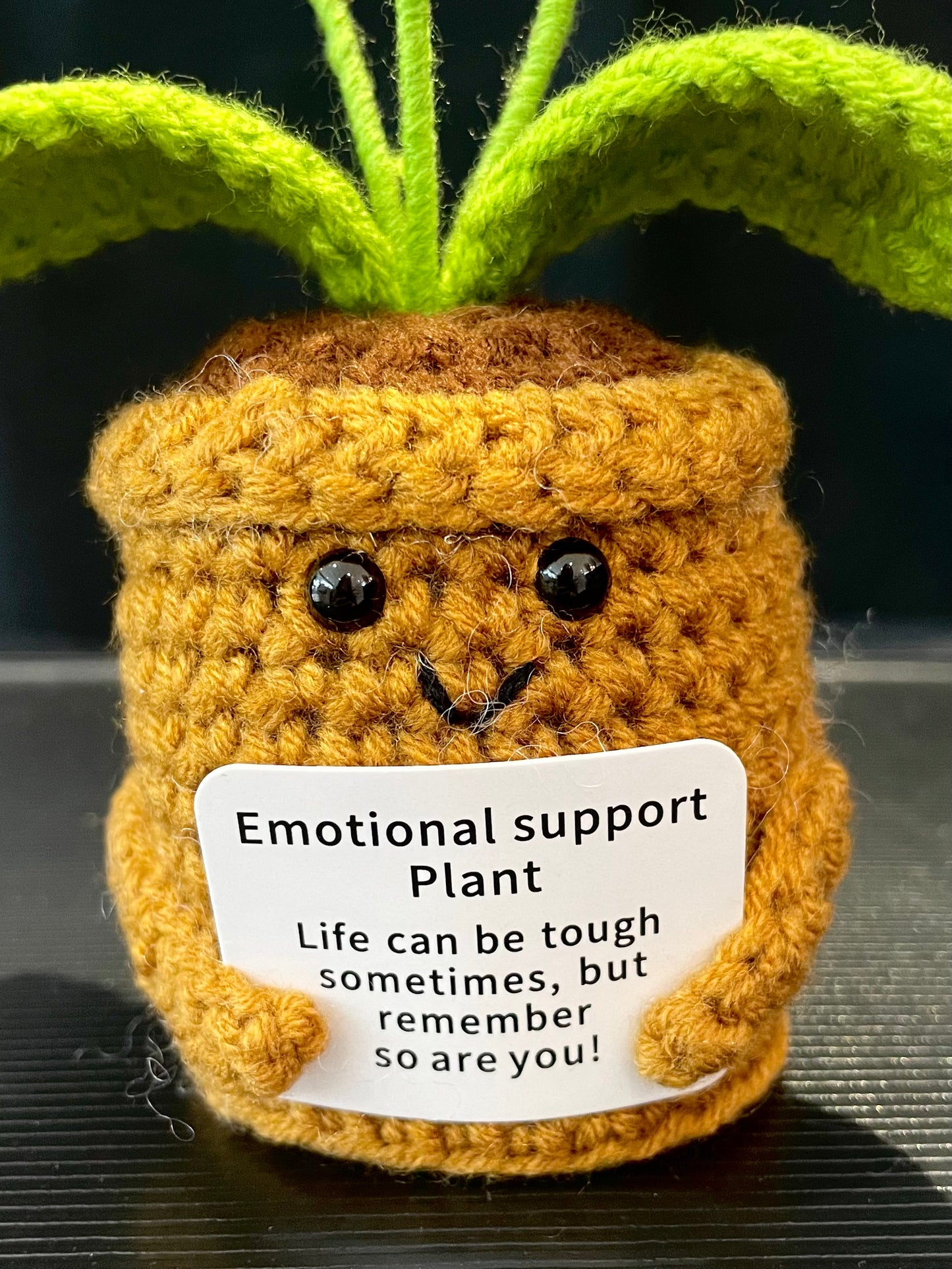 Emotional Support Plant (Tulip)