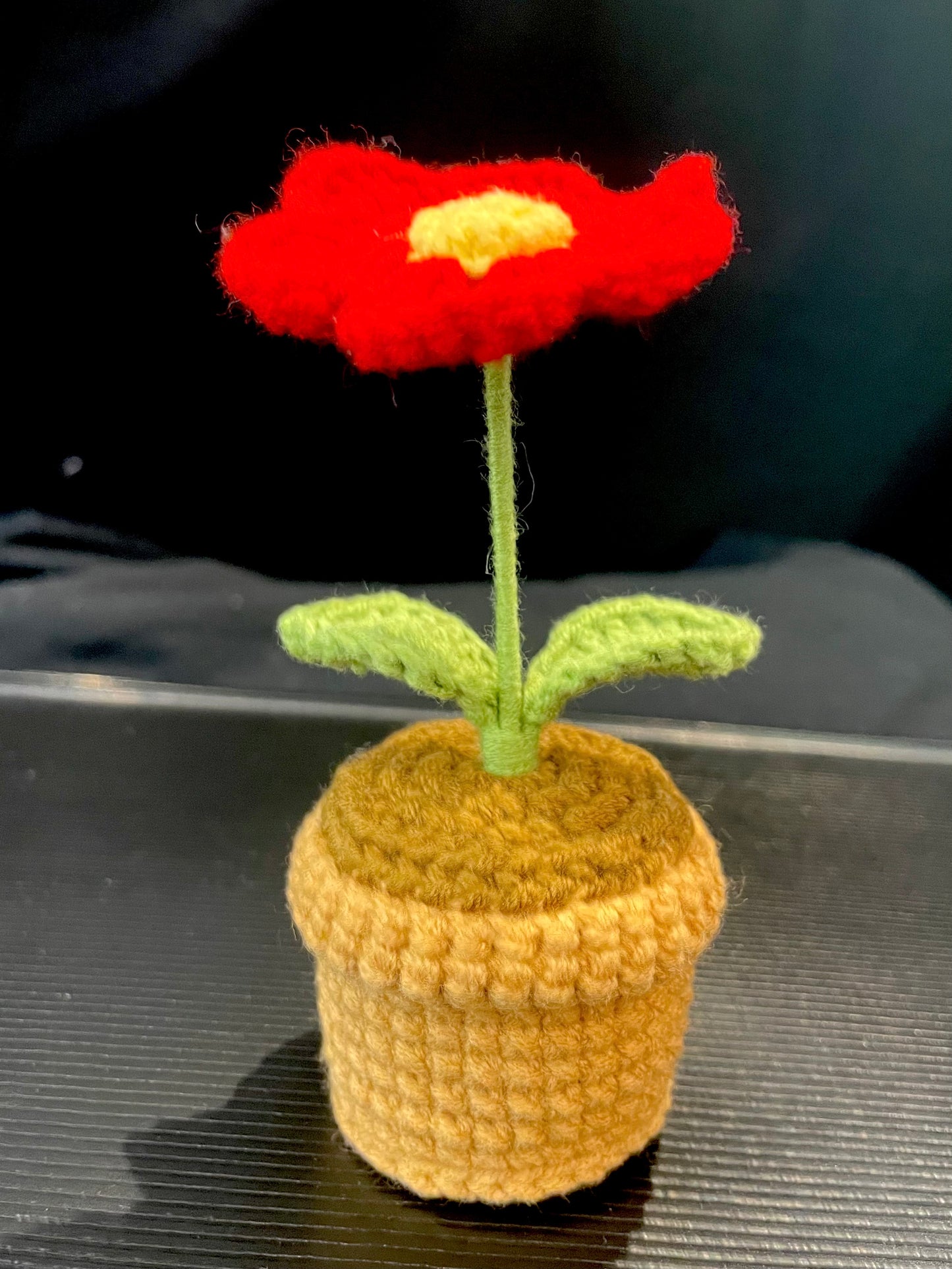 Daisy Pot (Single)