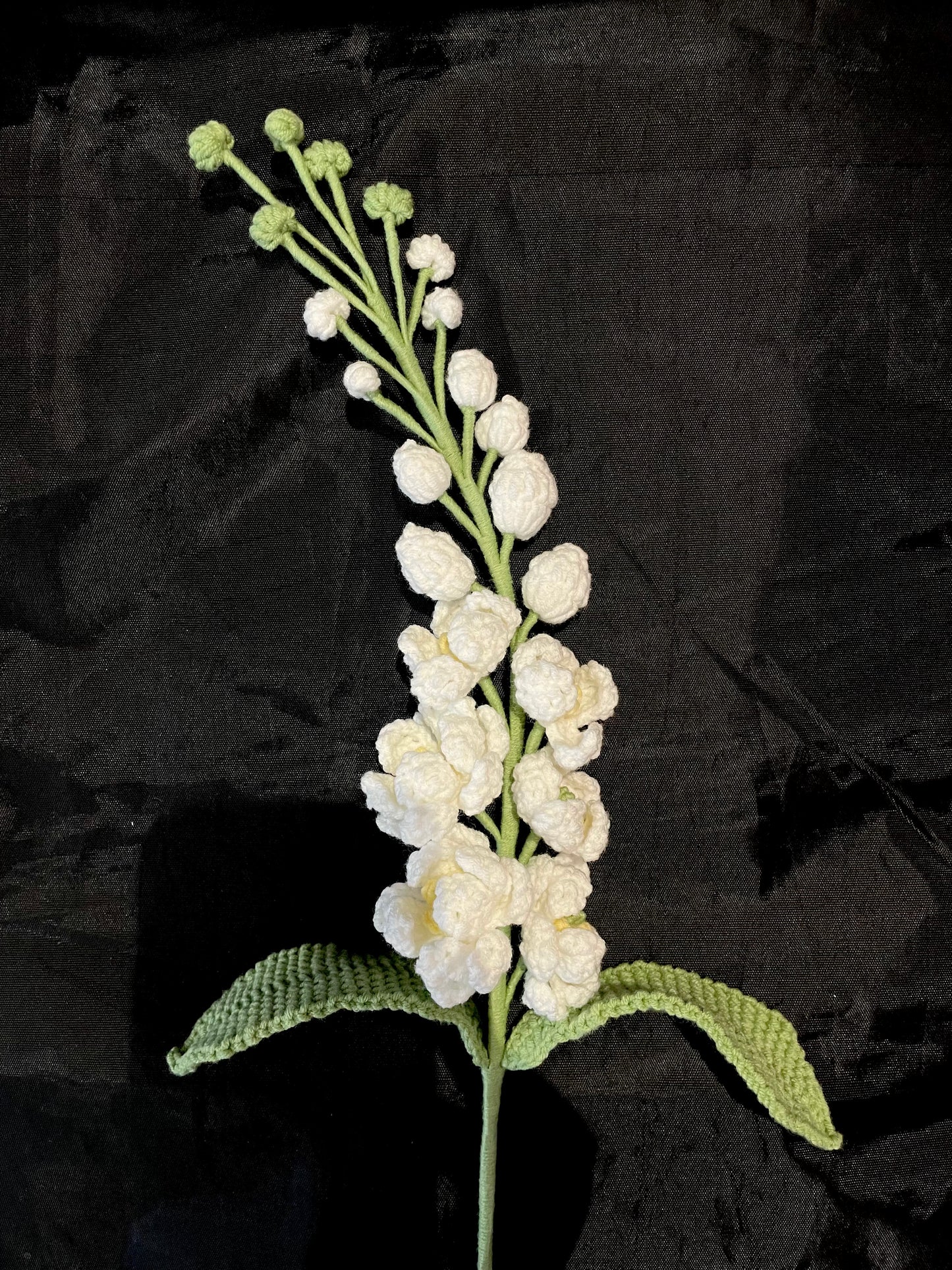 Delphinium