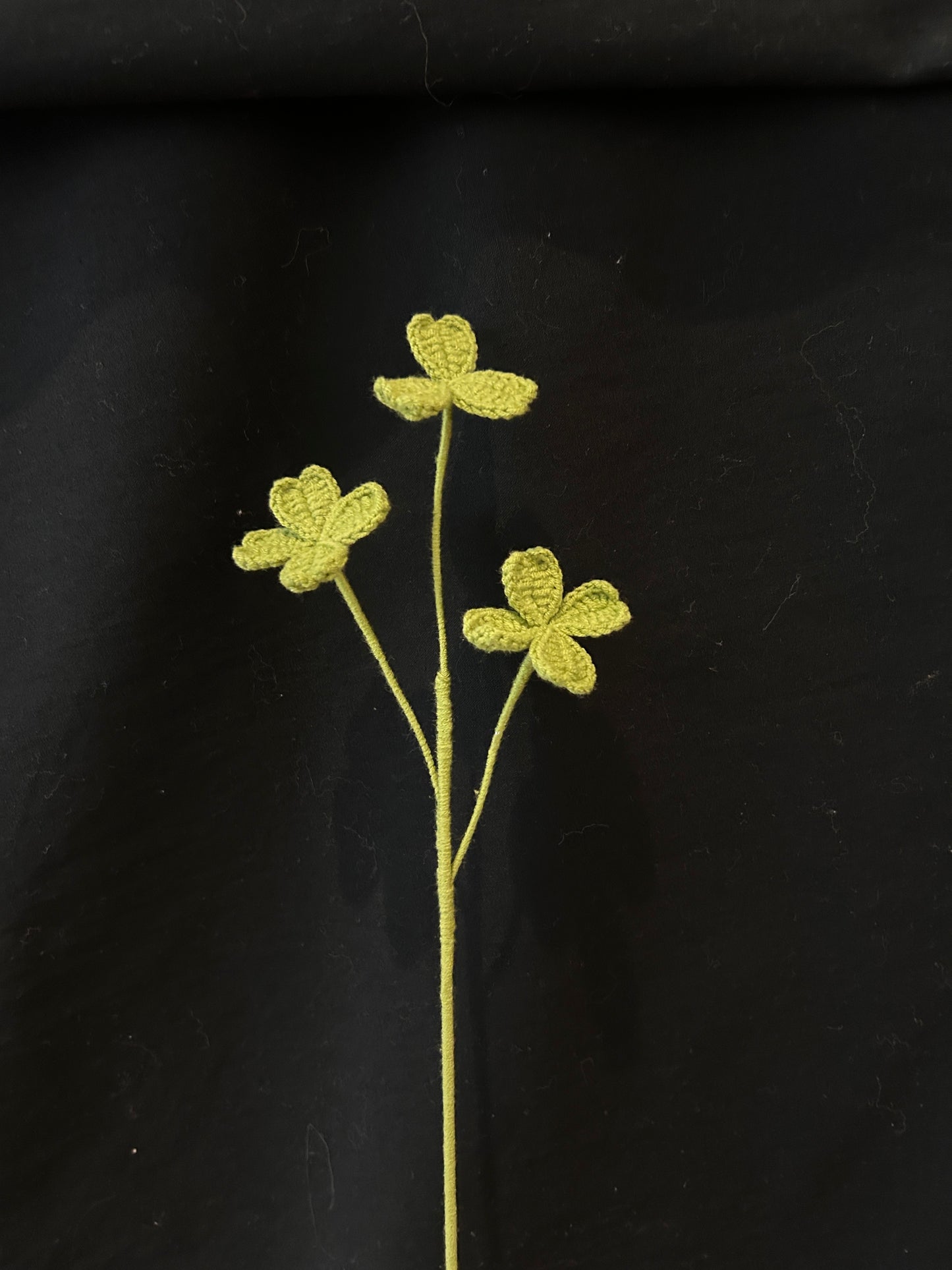 Clover Leaves