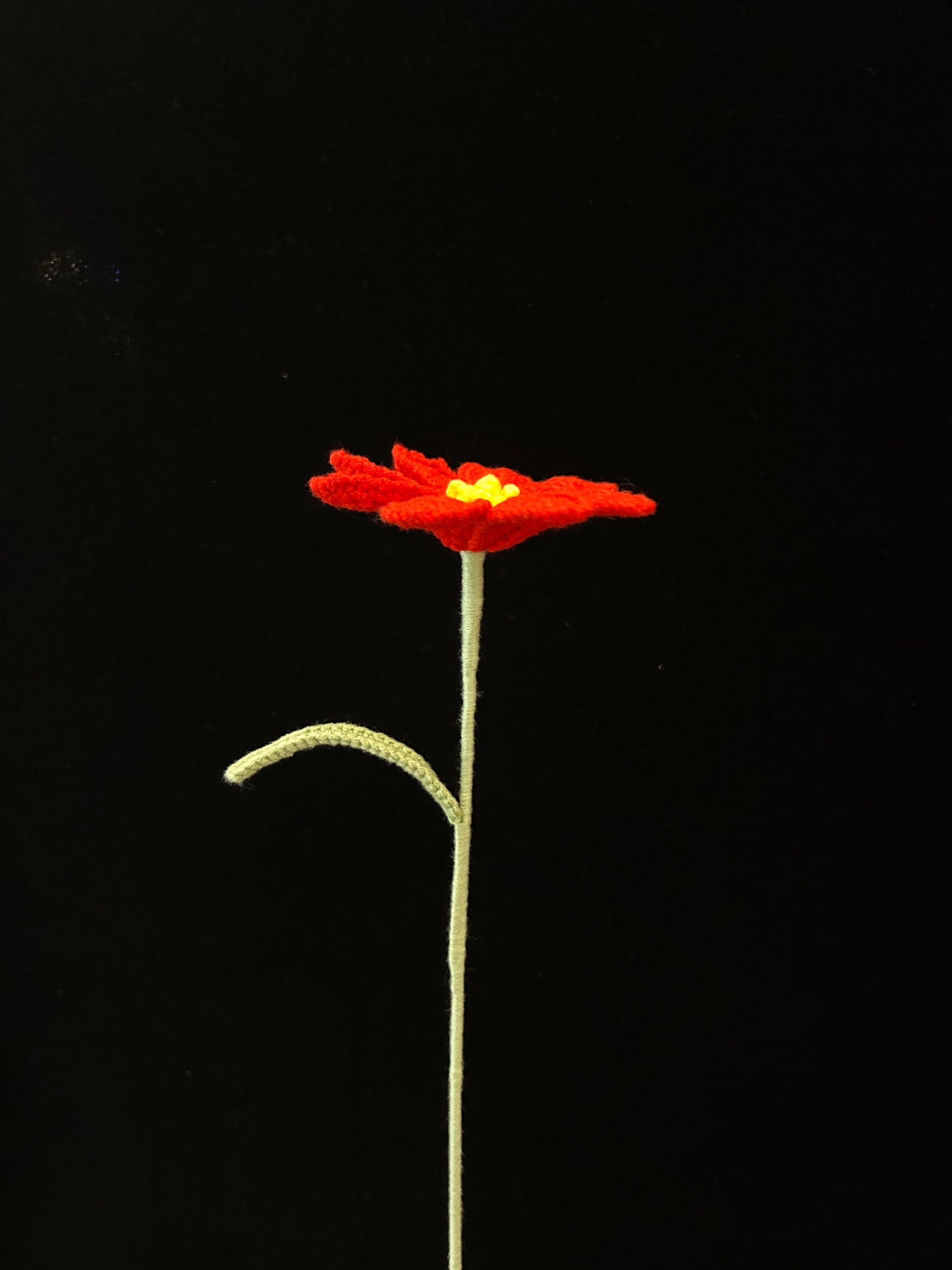 Galsang Flower
