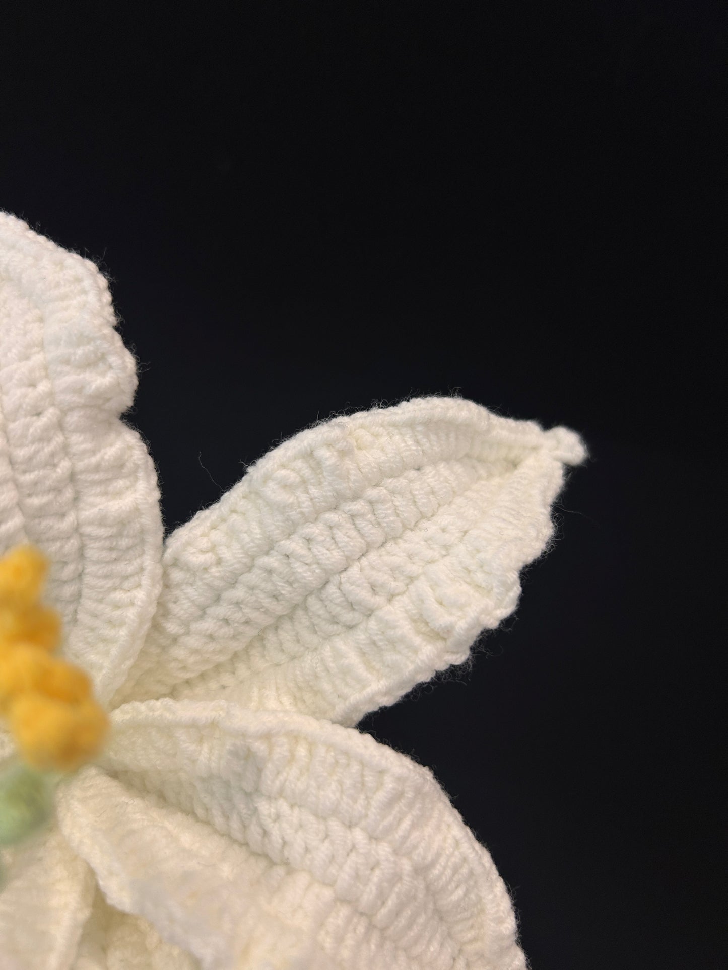 Lily