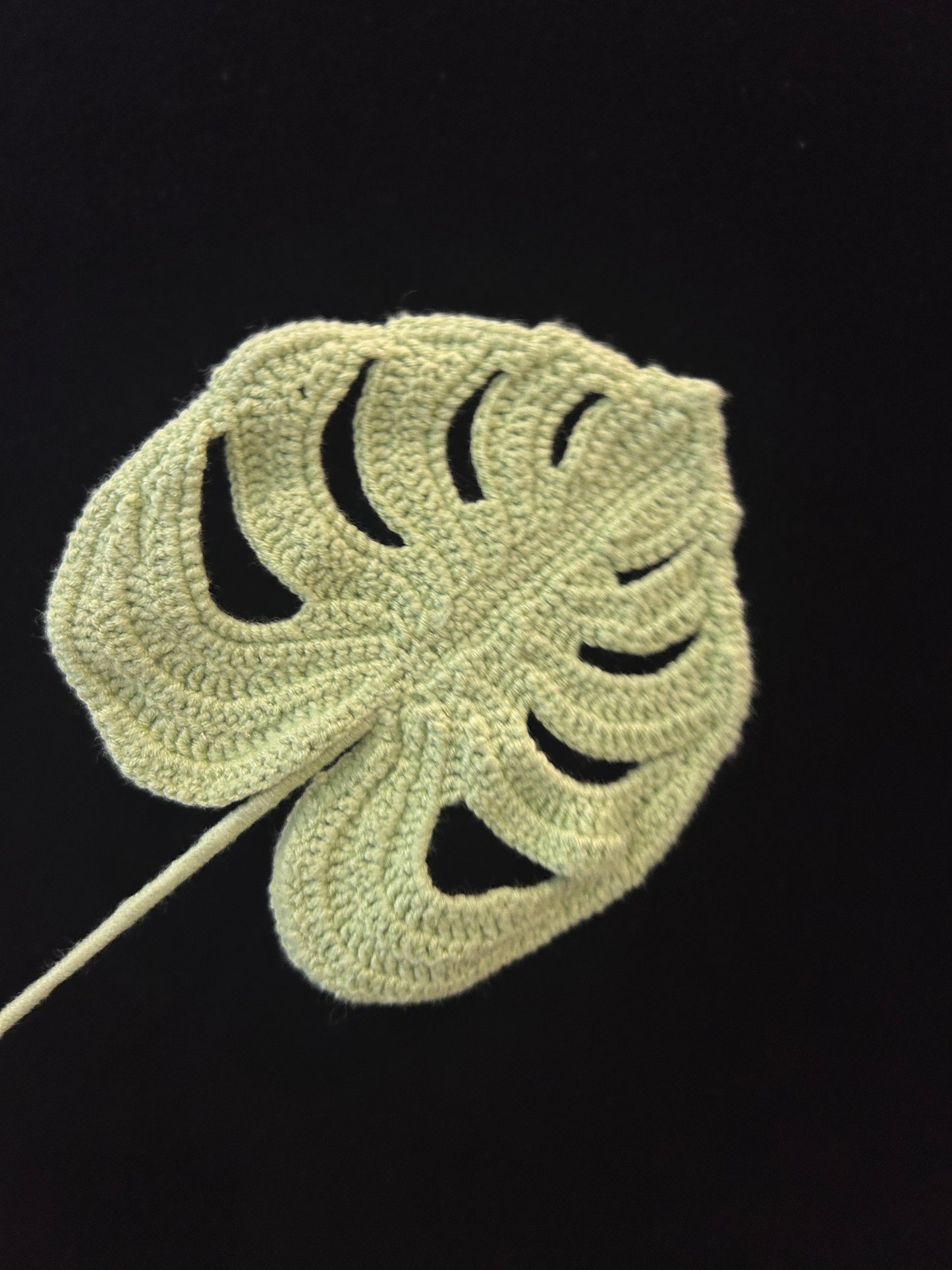 Lobed Leaf