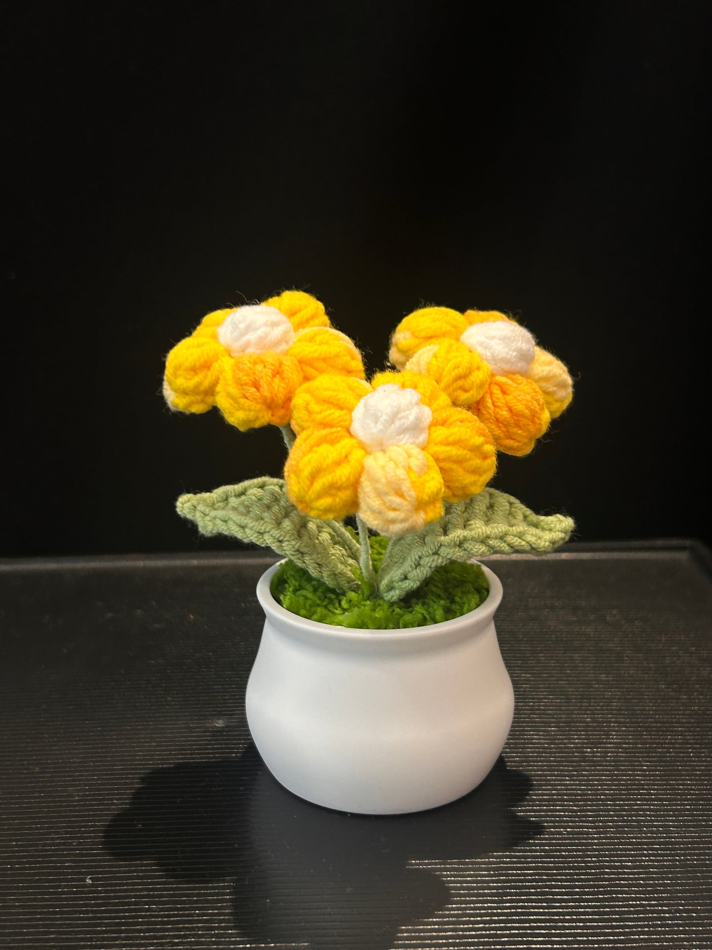 Puff Flower in White Pot