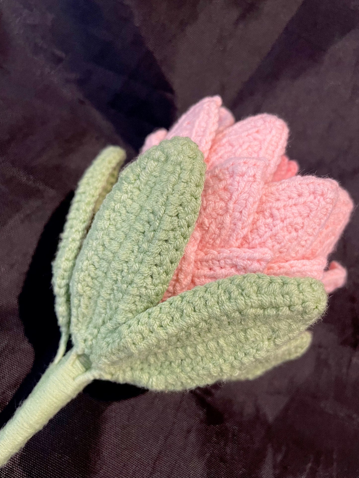 King Protea