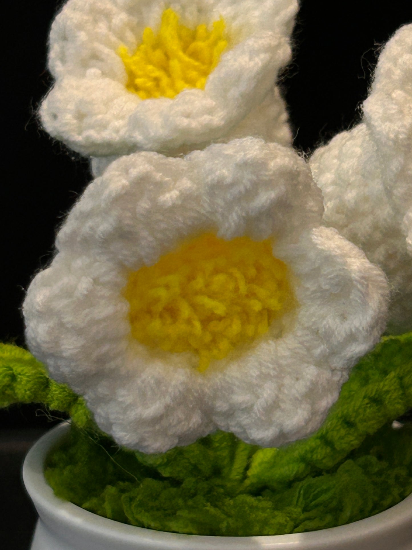 Lily of the Valley in White Pot