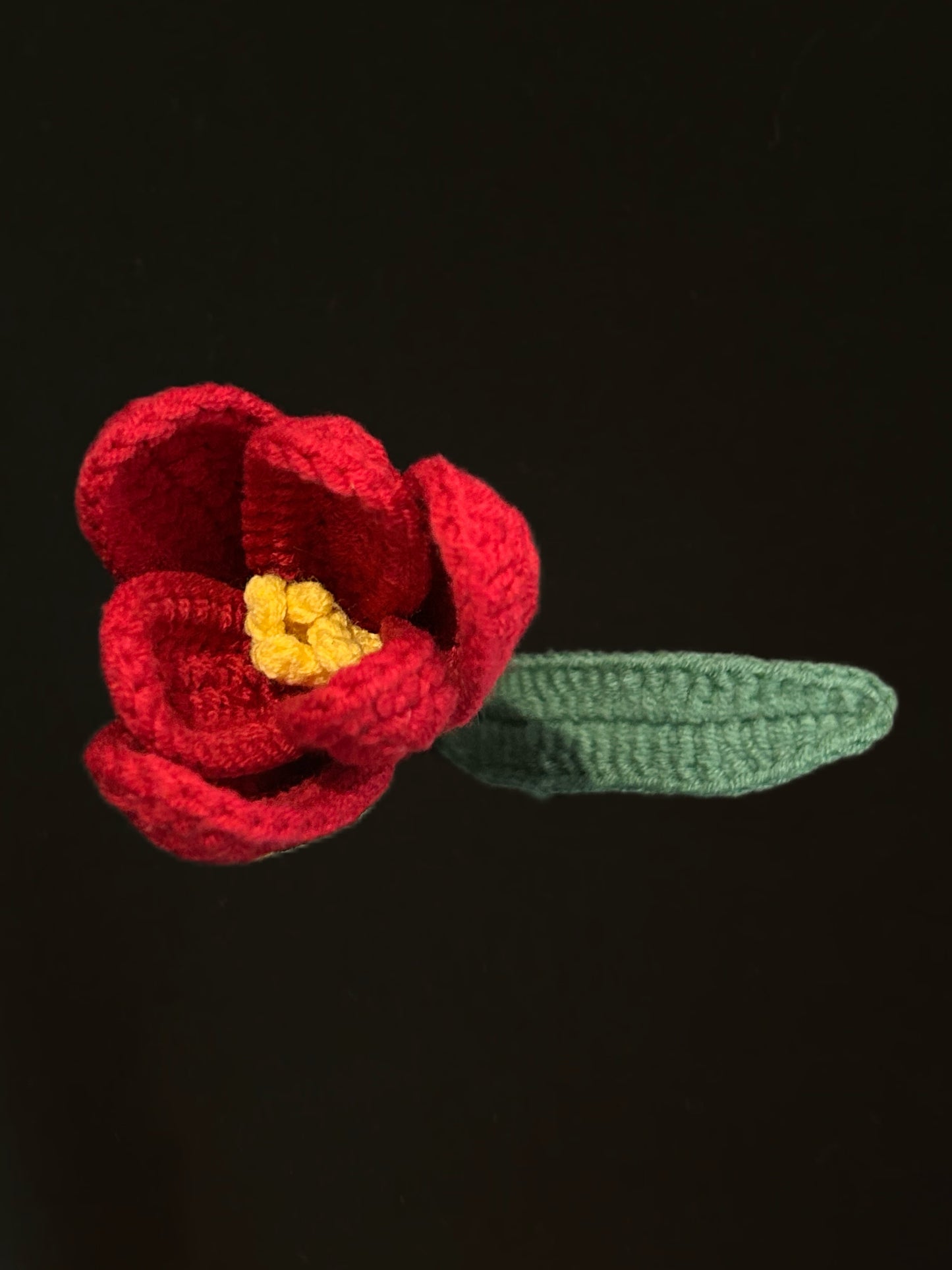 Tulip