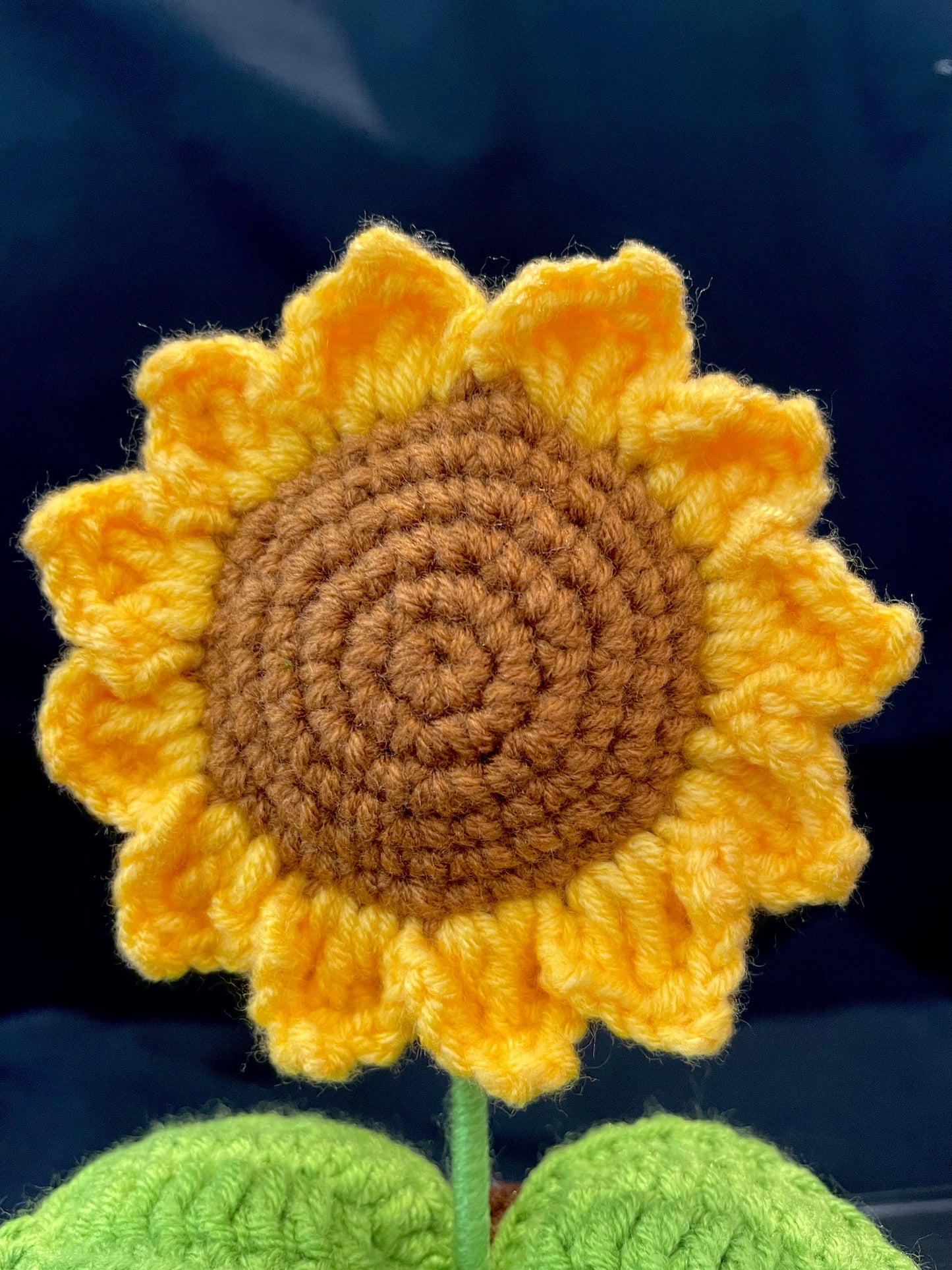 Emotional Support Plant (Sunflower)