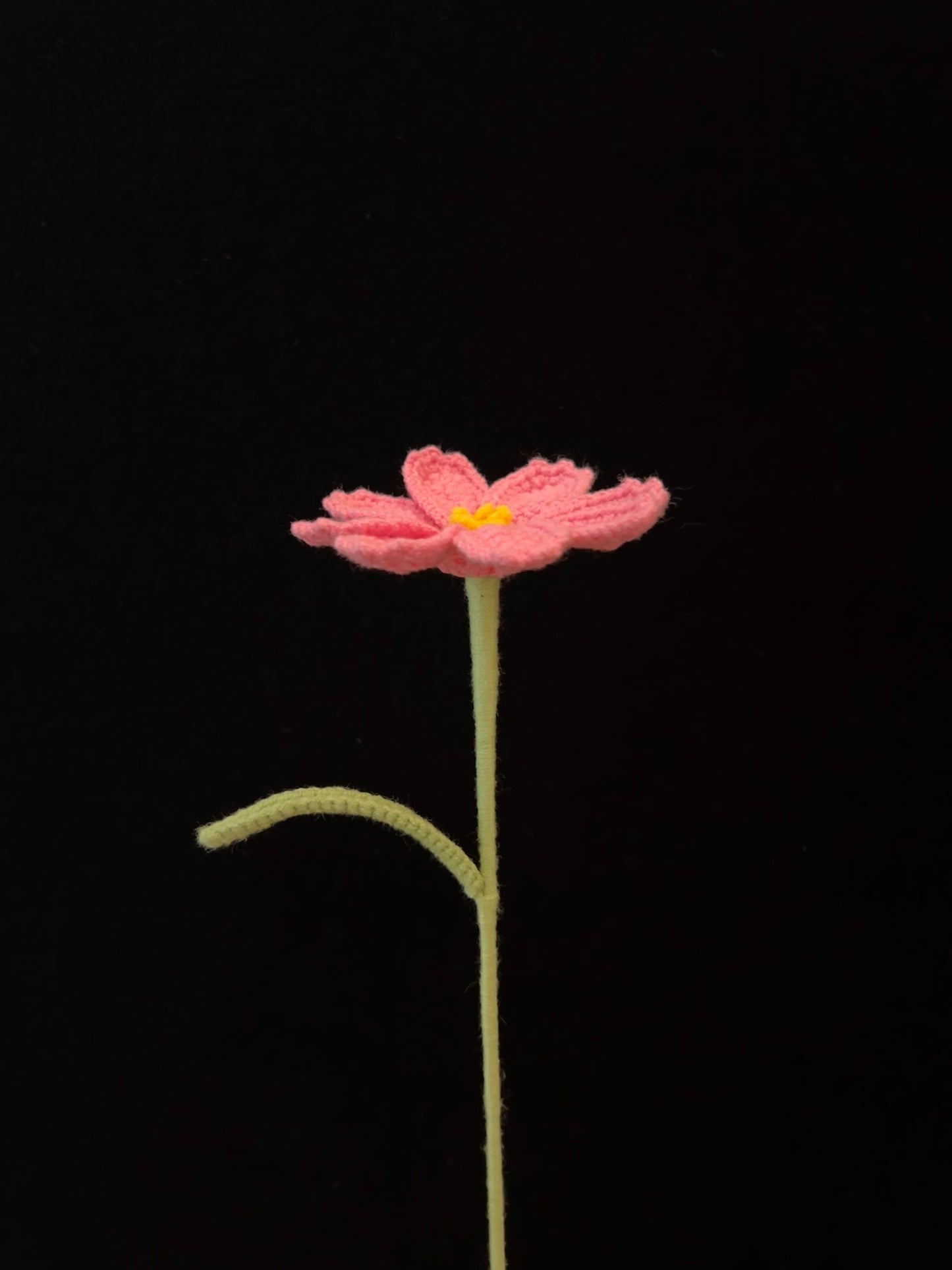 Galsang Flower