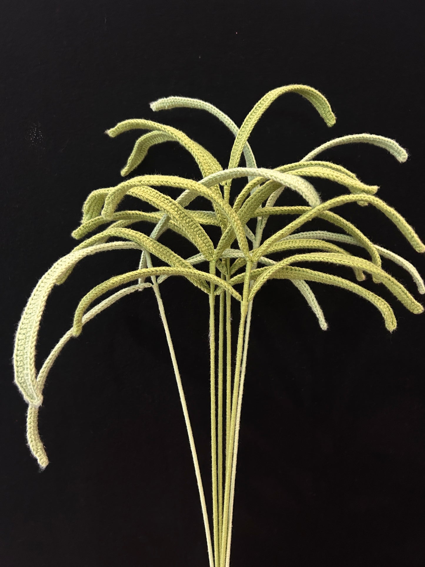 Forked Sprout
