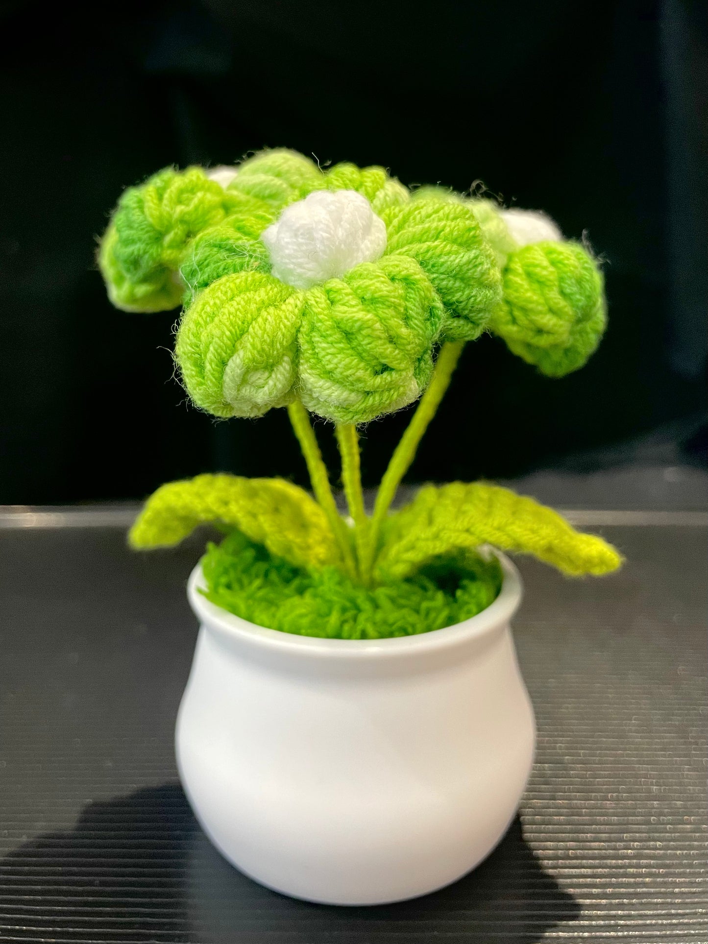 Puff Flower in White Pot