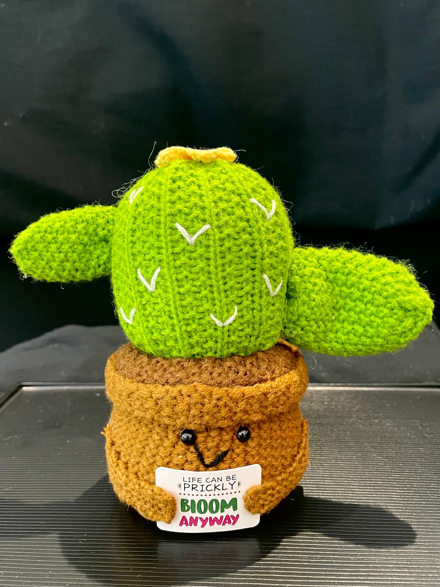 Emotional Support Plant (Cactus)