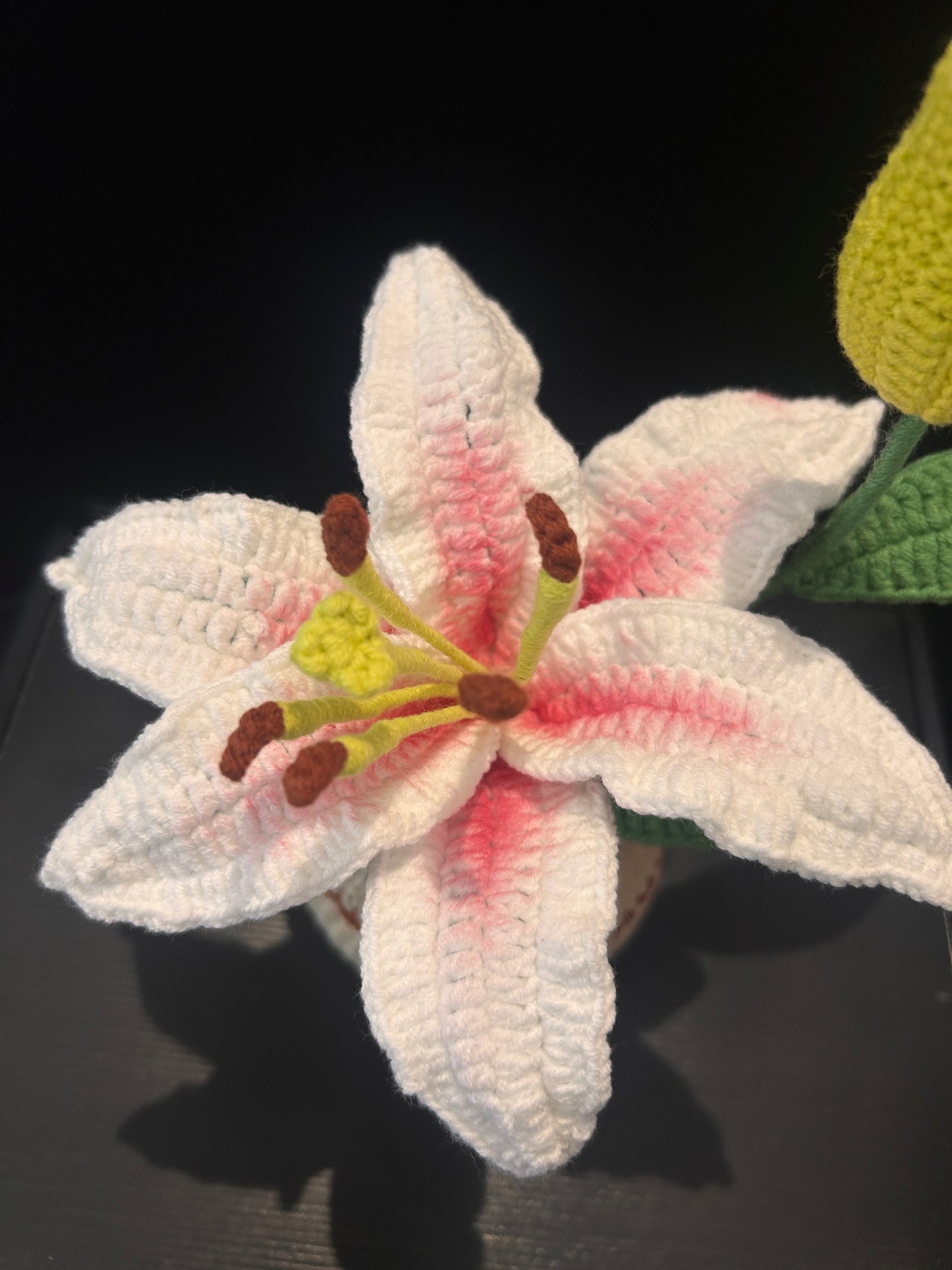 Lily Pot