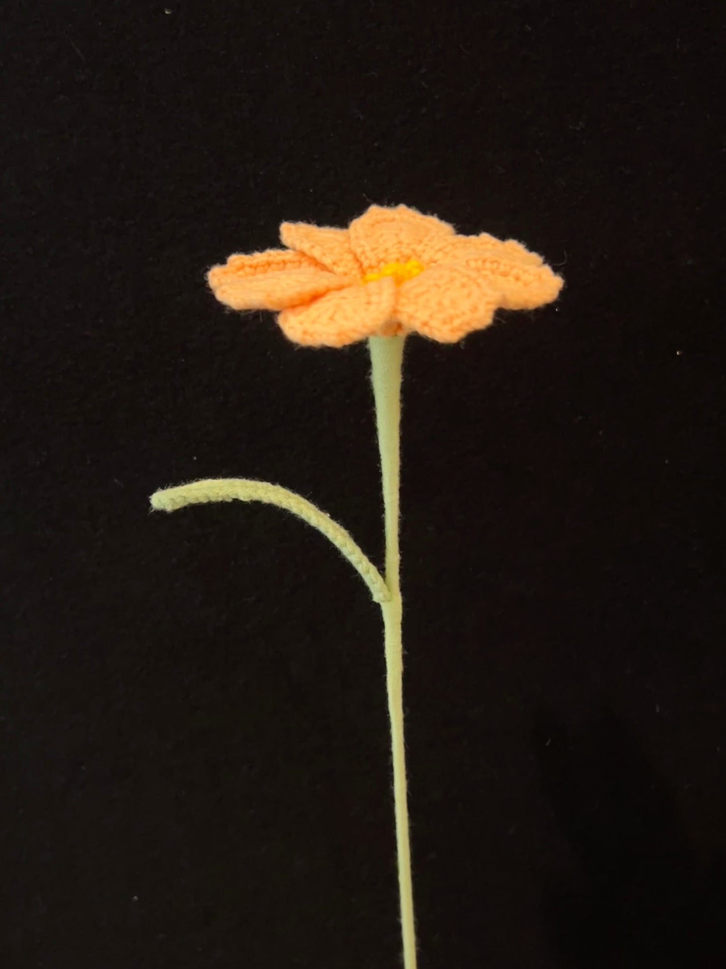 Galsang Flower