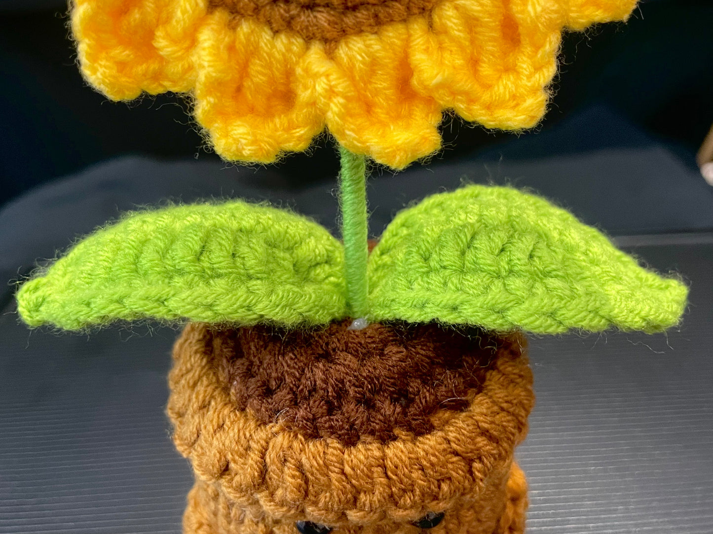 Emotional Support Plant (Sunflower)