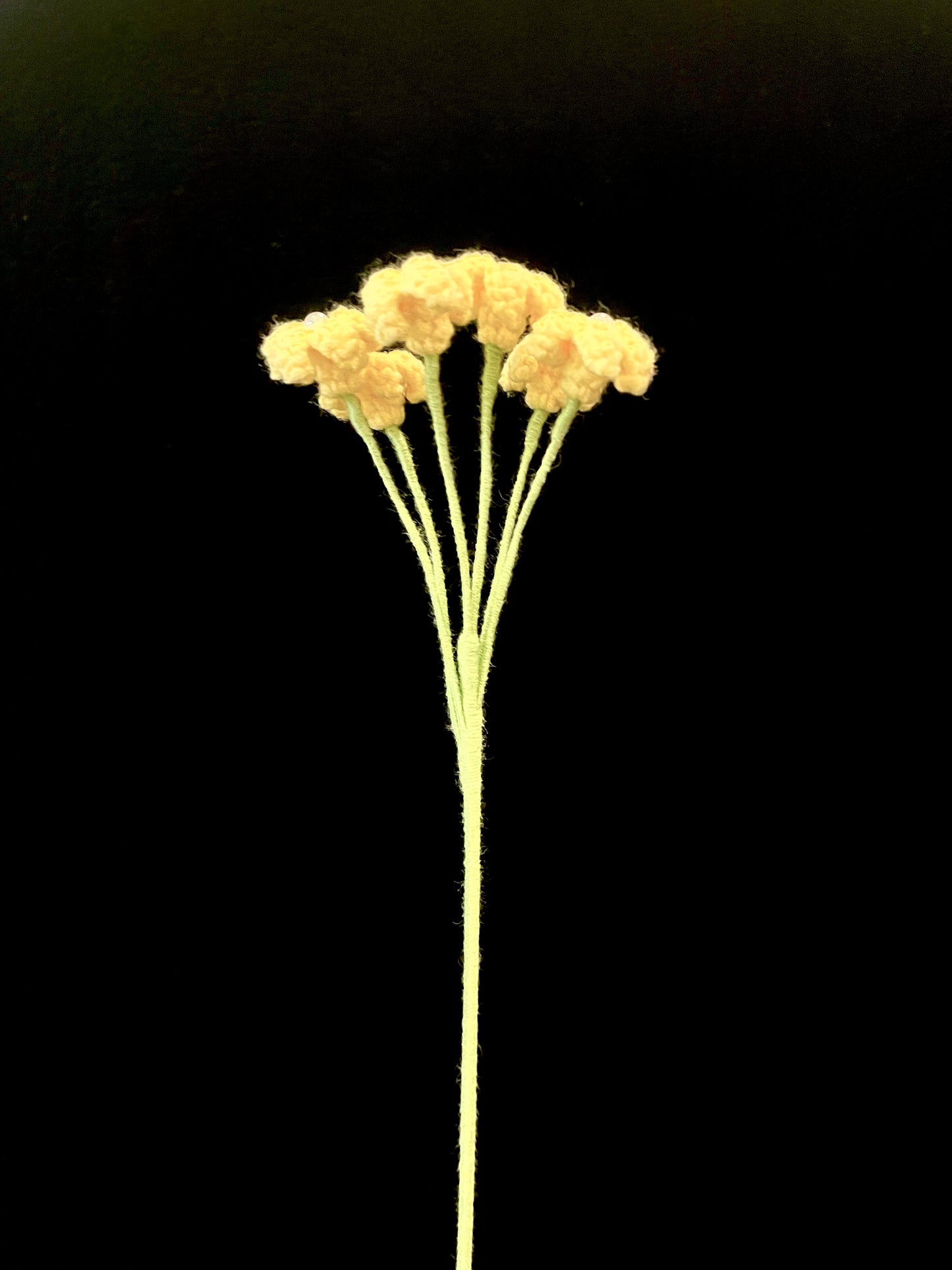Baby’s Breath