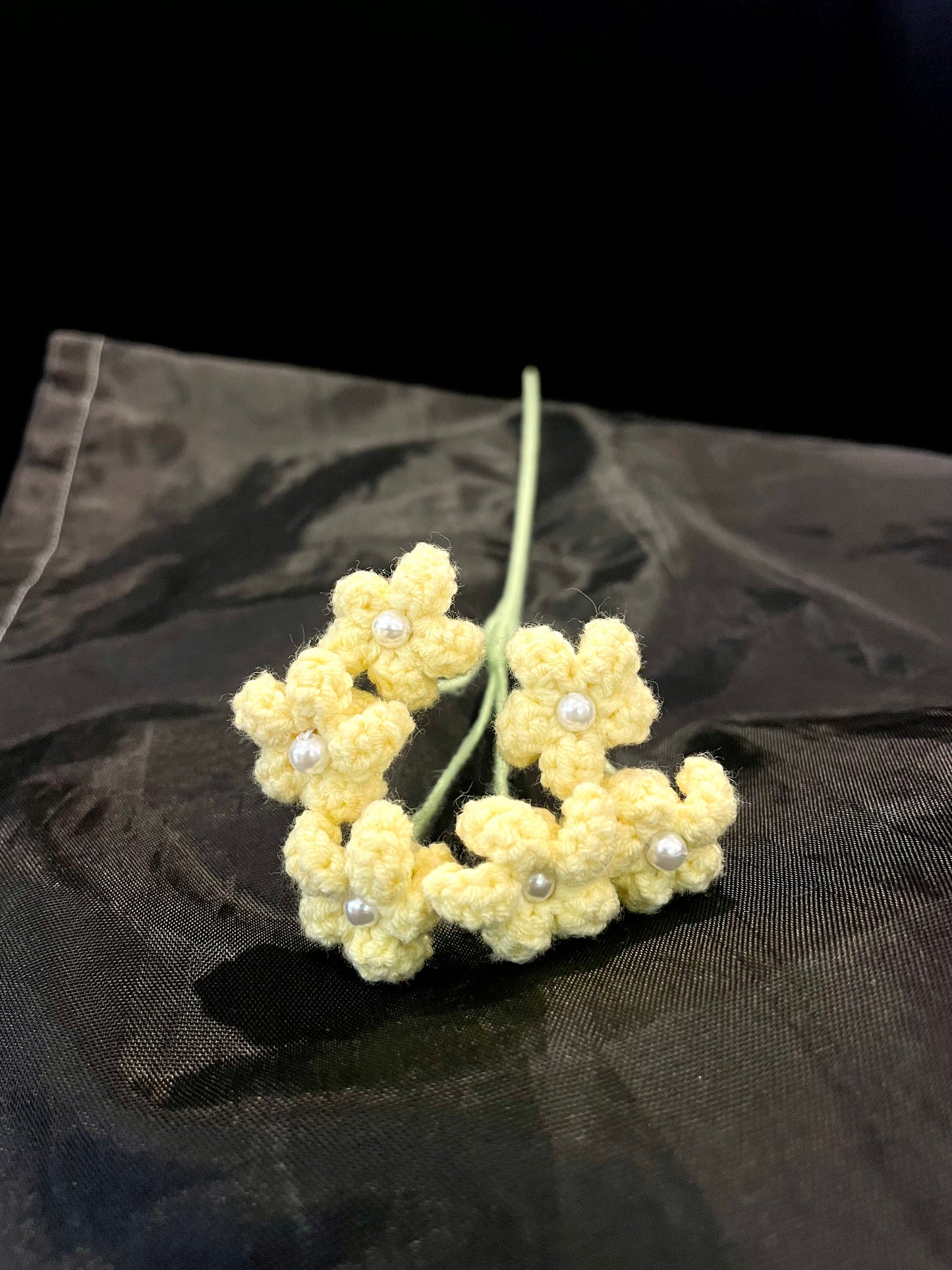 Baby’s Breath