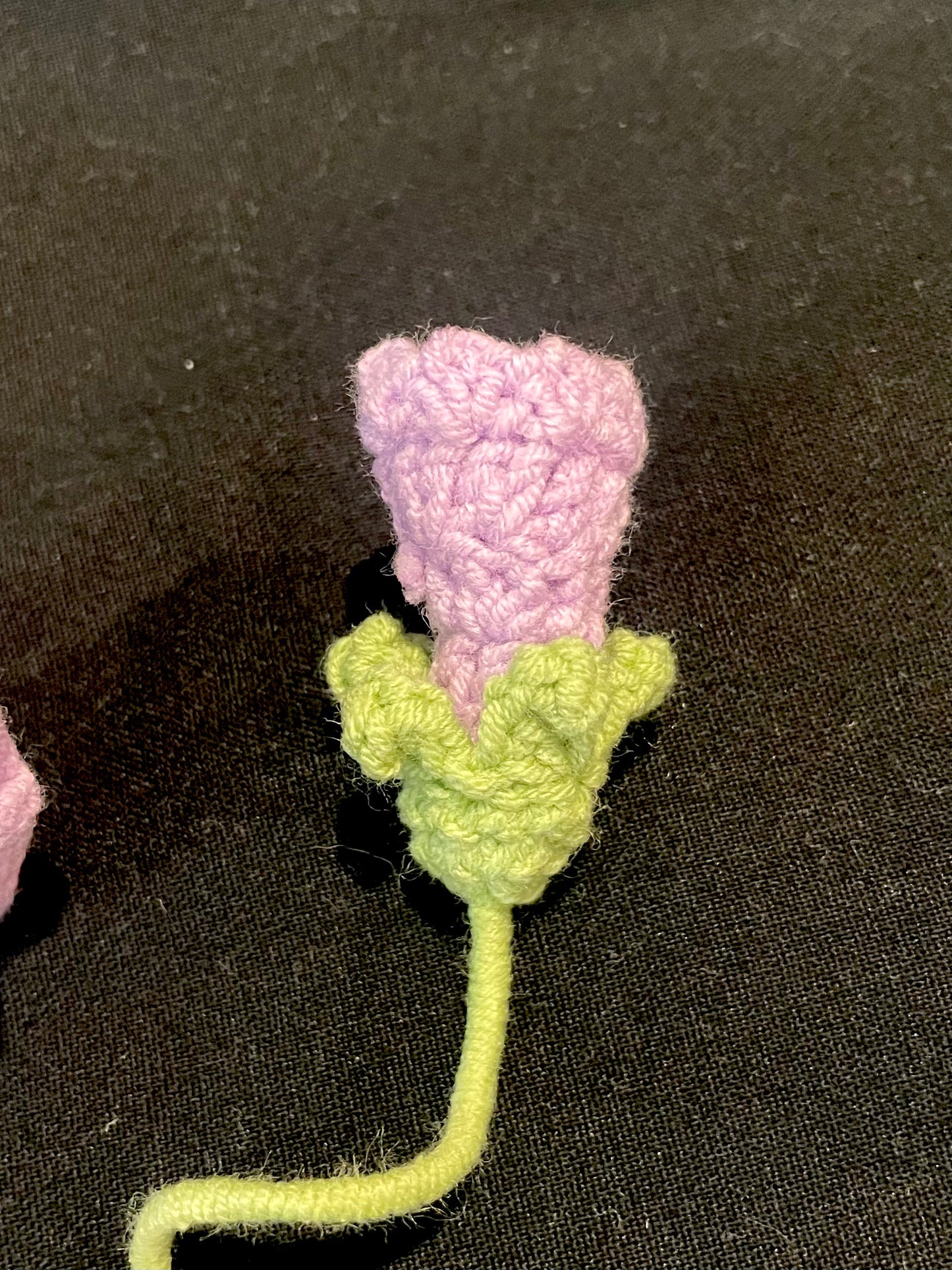 Poppy