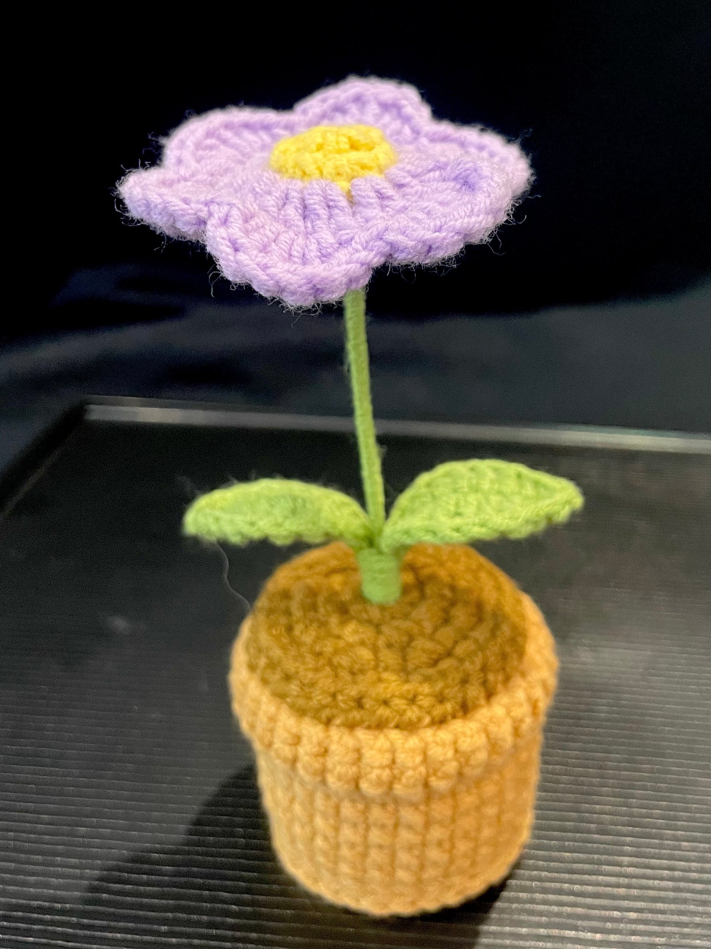 Daisy Pot (Single)