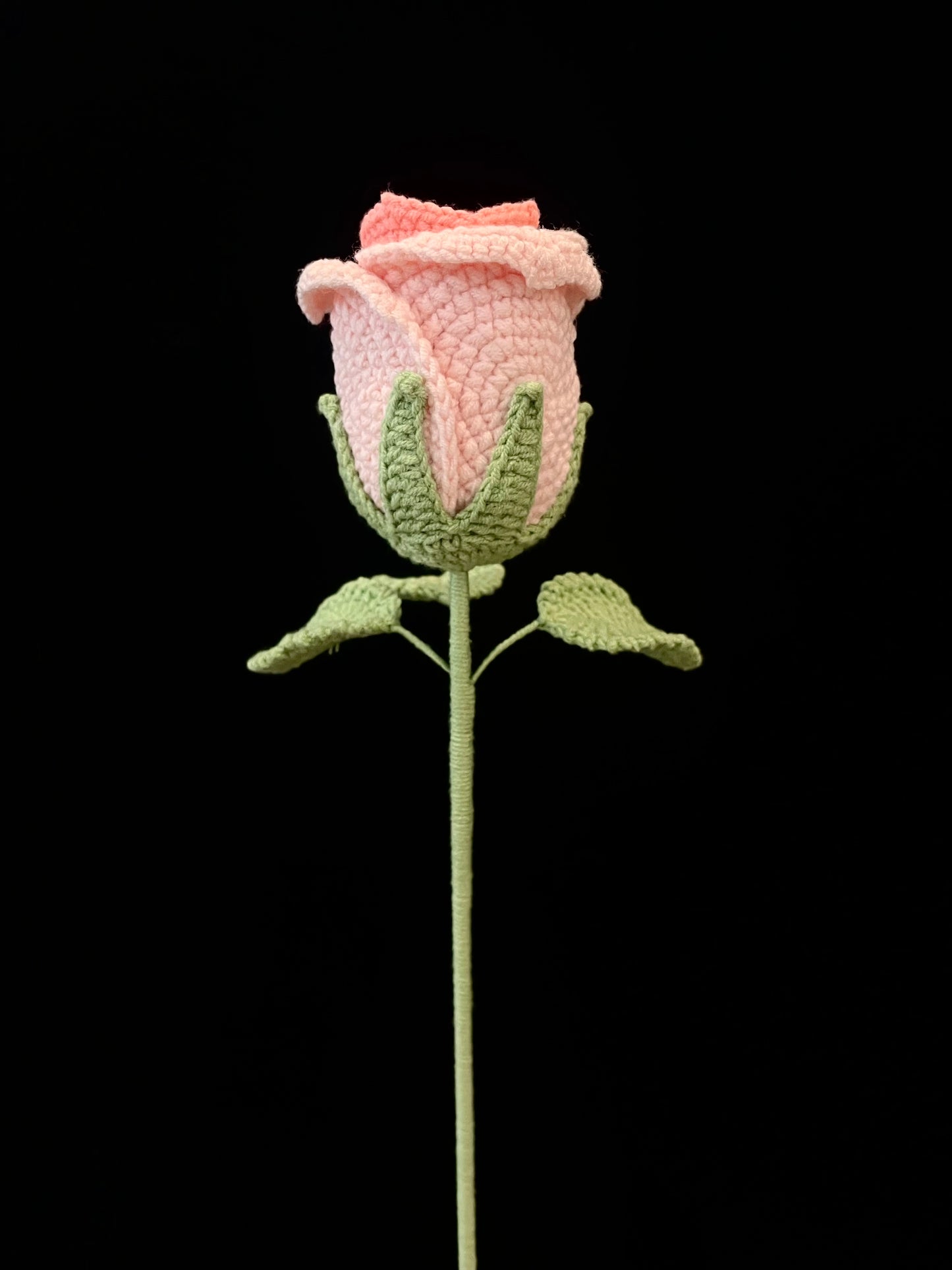 Cup-Shaped Rose