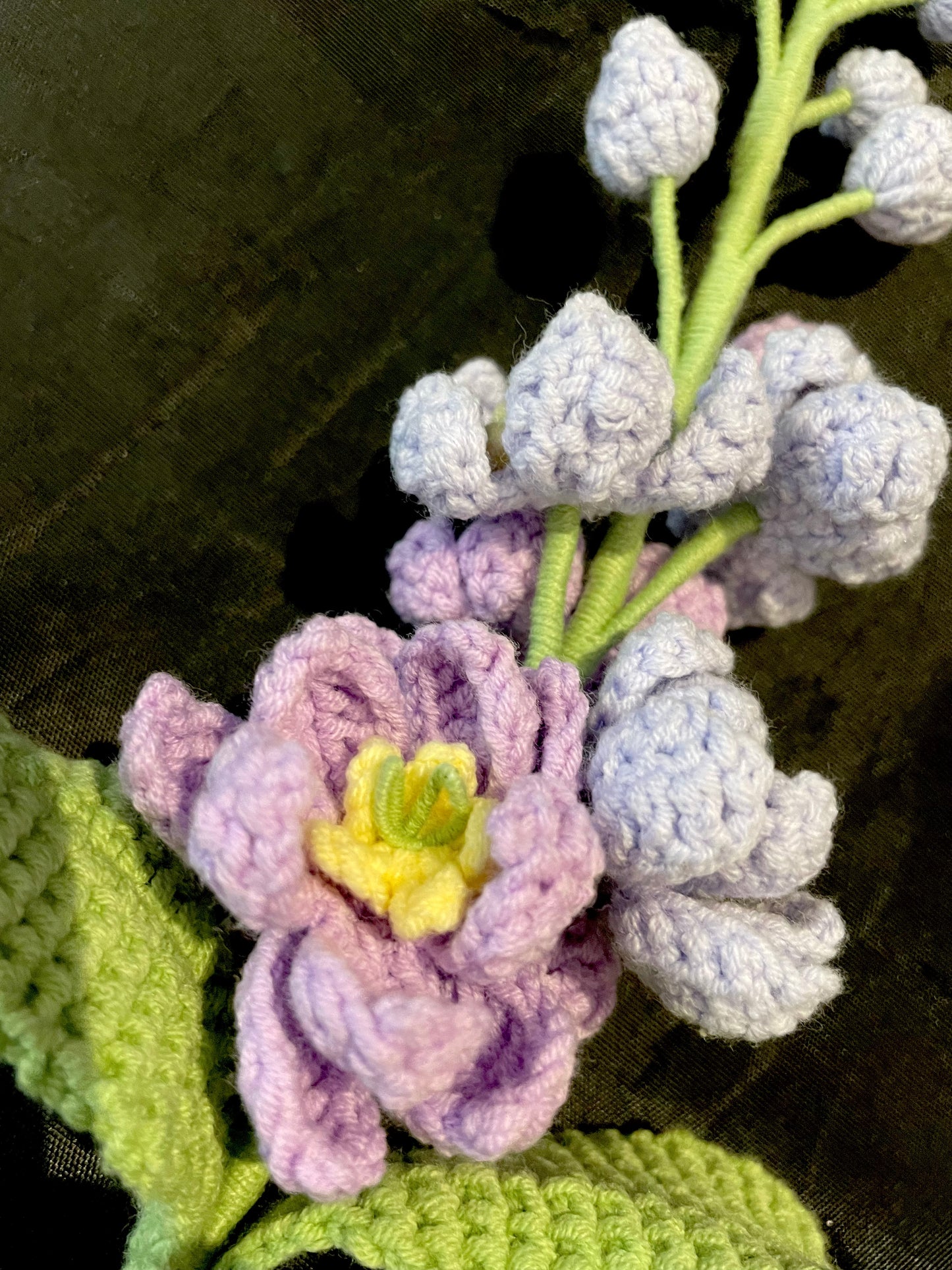 Delphinium
