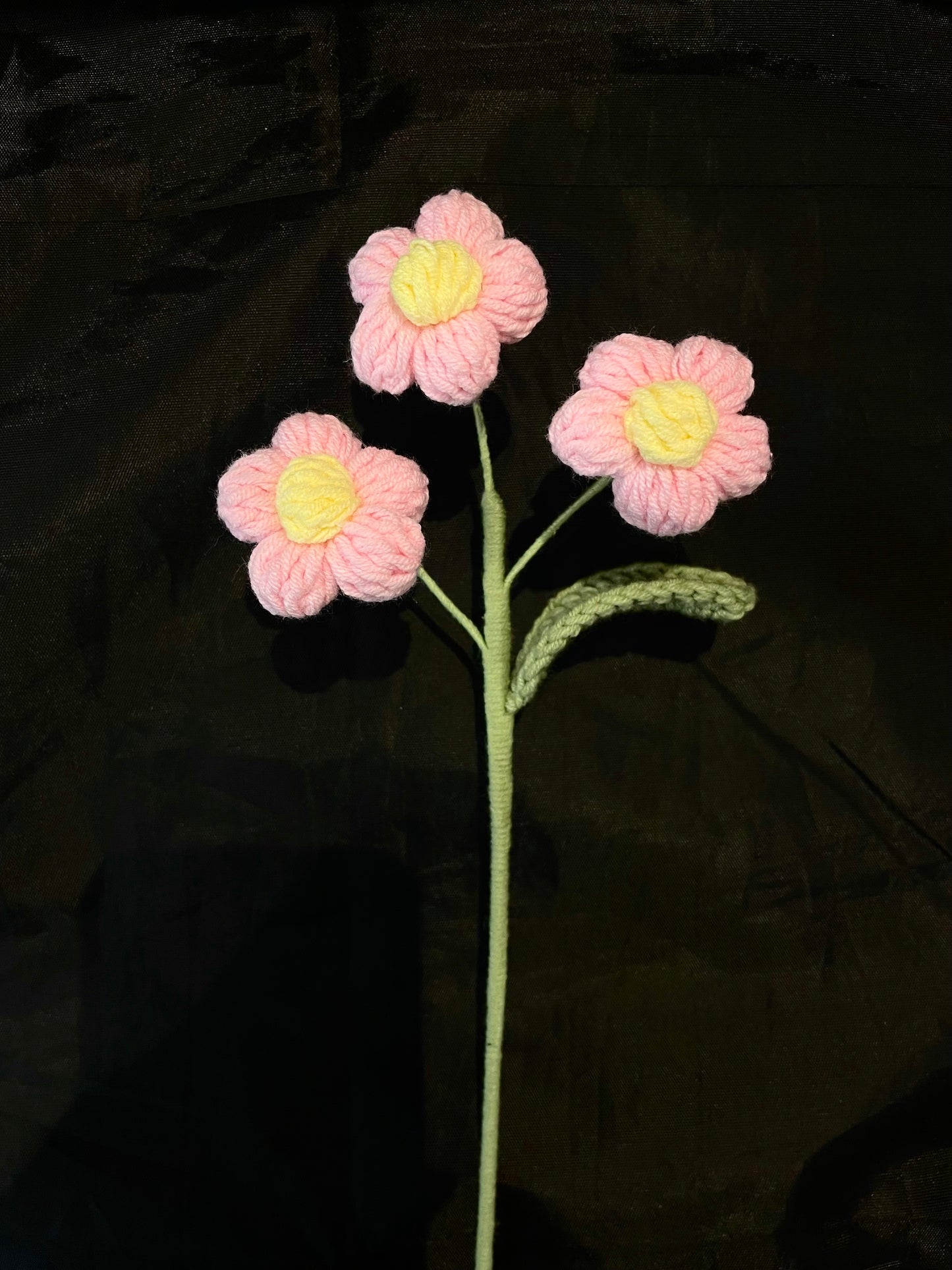 Puff Flower