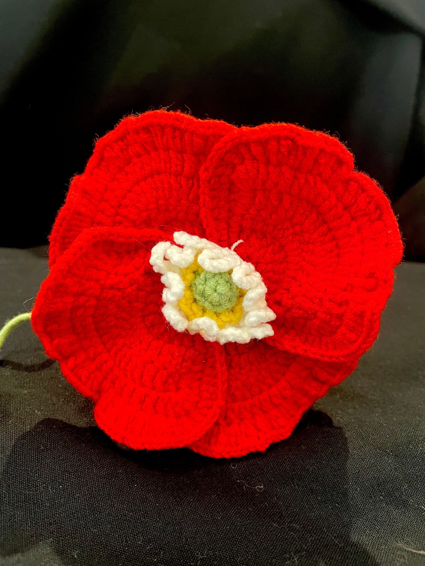 Poppy