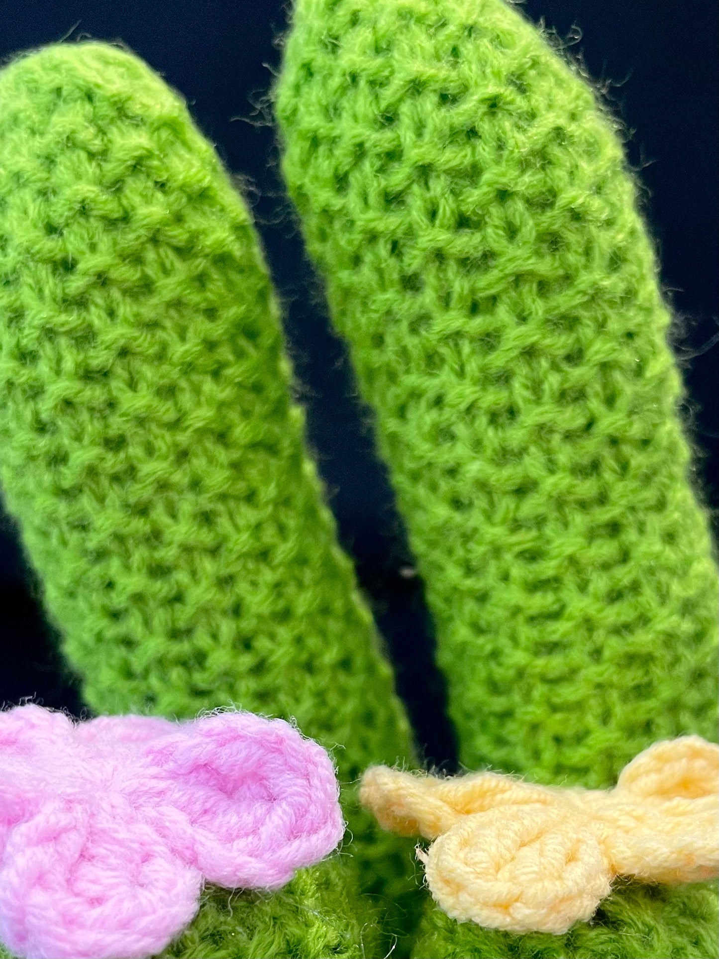 Emotional Support Plant (Cactus)