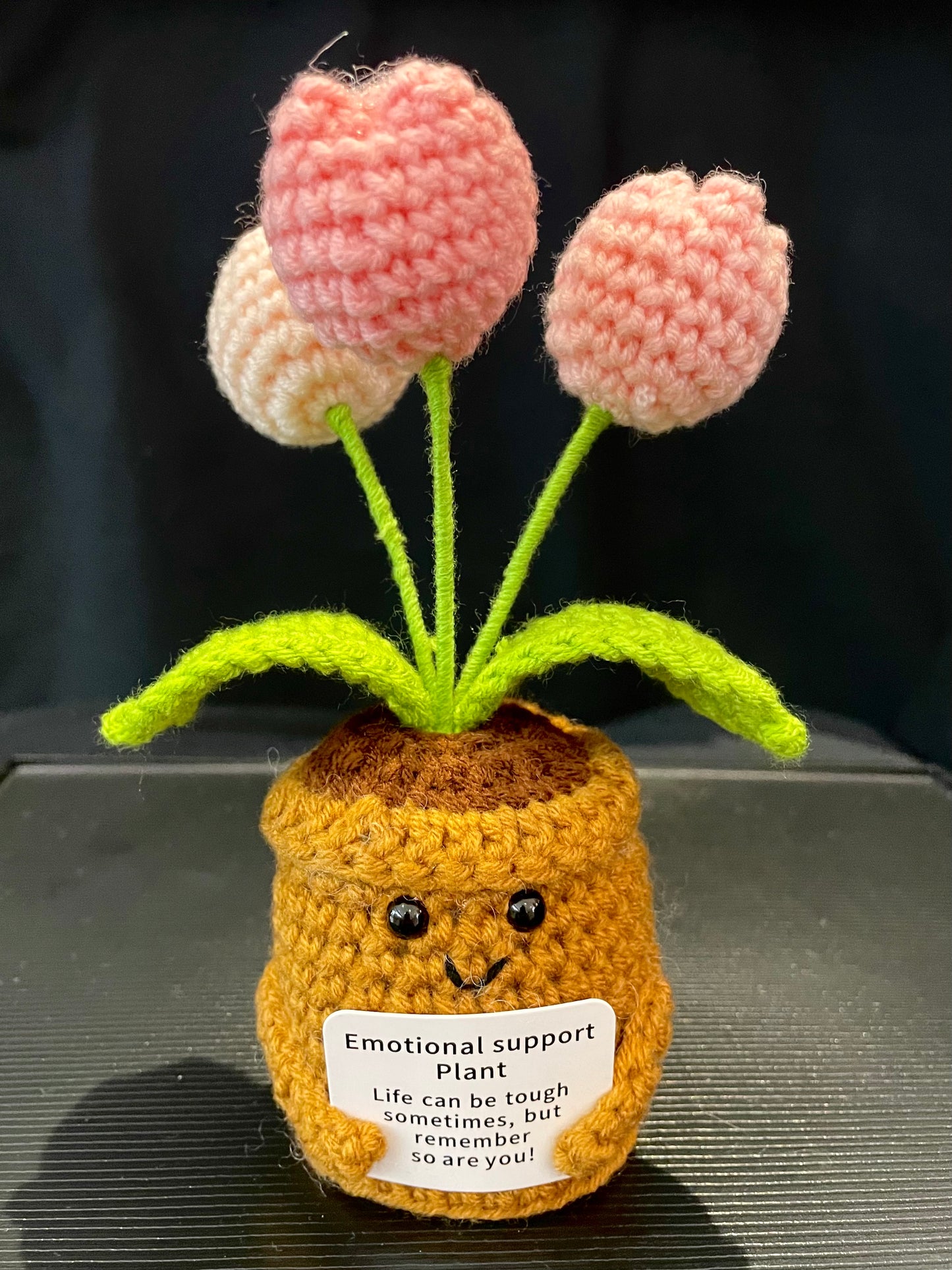 Emotional Support Plant (Tulip)