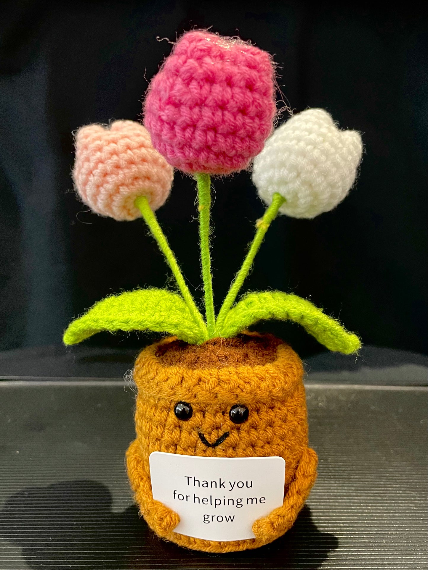 Emotional Support Plant (Tulip)