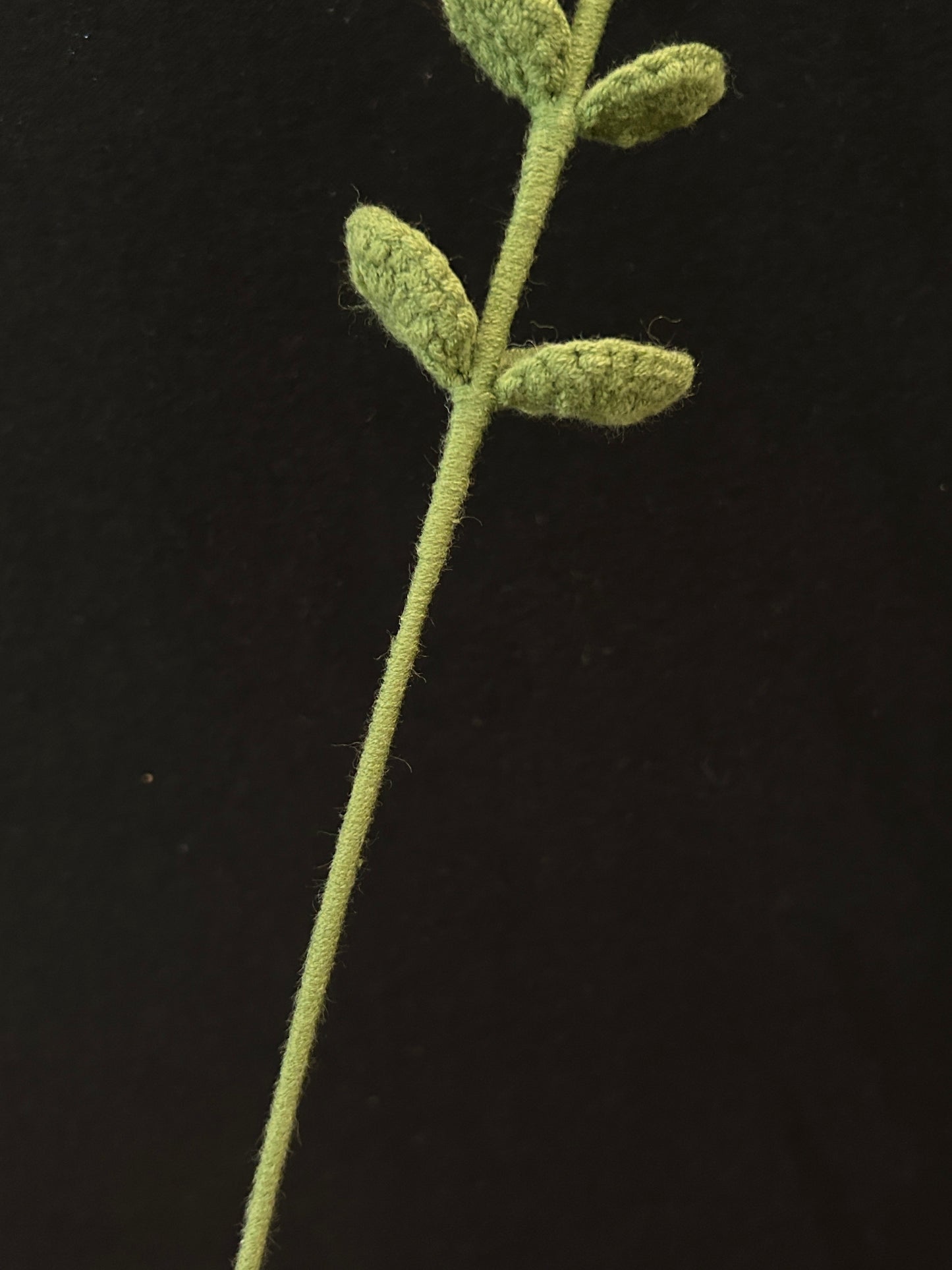 Handmade Crochet Long Stem Leaves —— Simple Alternate Leaves