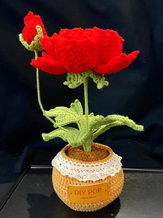 Peony Pot