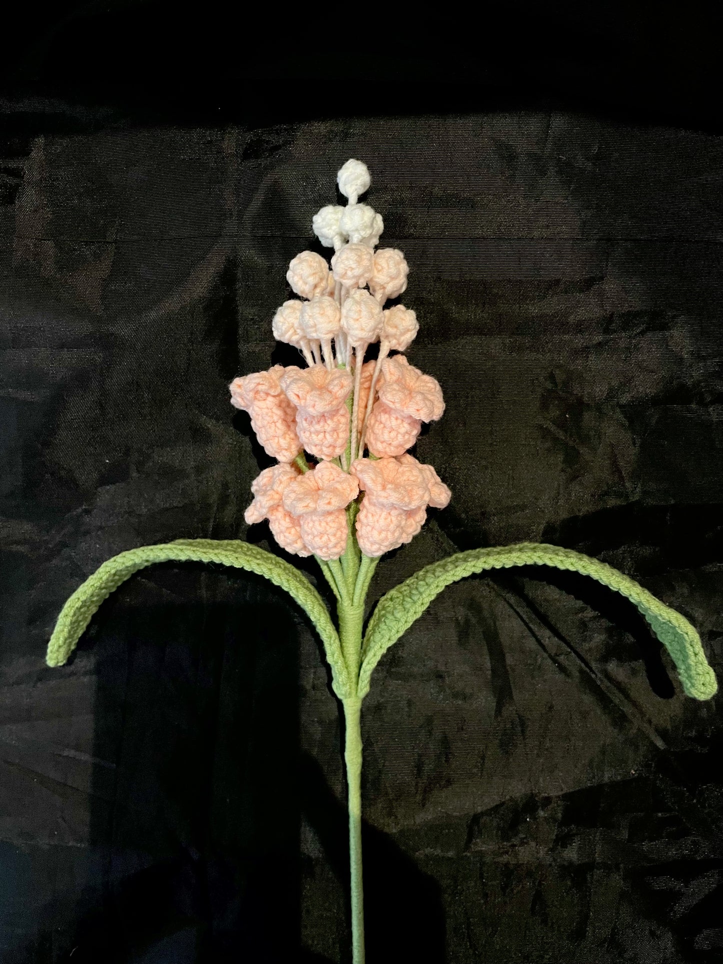 Hyacinth