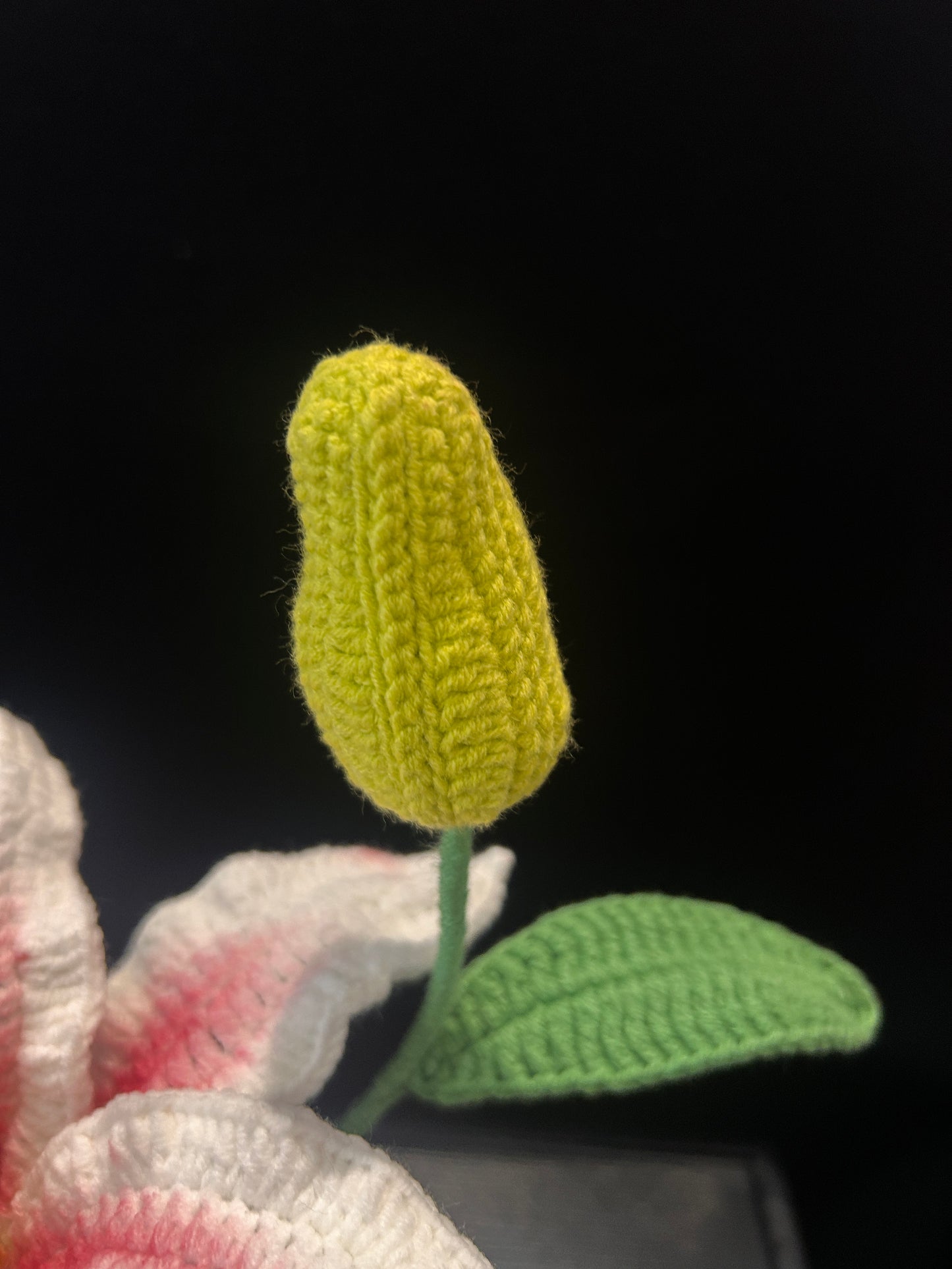 Lily Pot