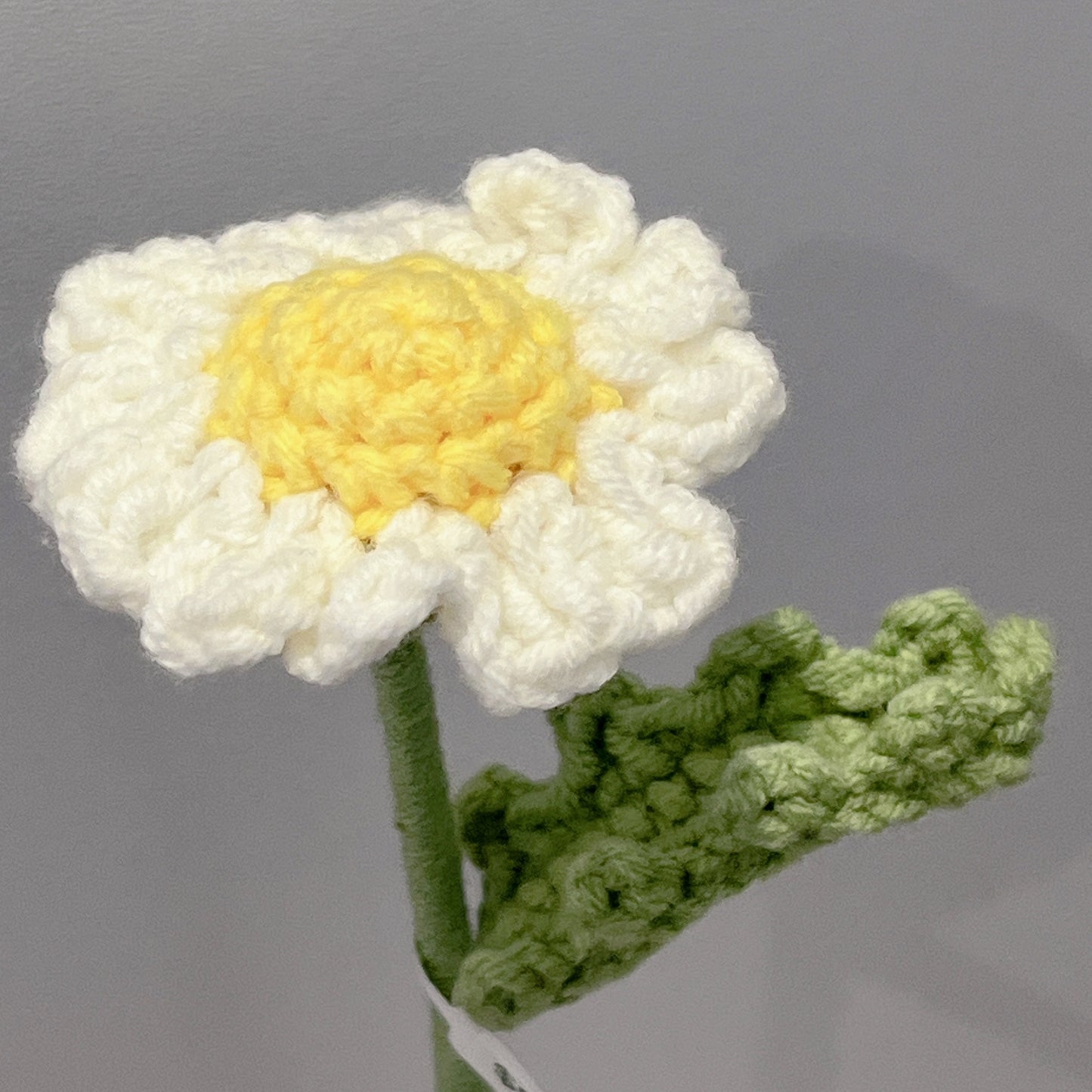 Handmade Crochet White Daisy