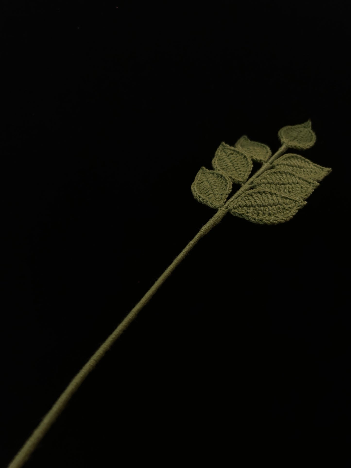 Pinnate Leaves