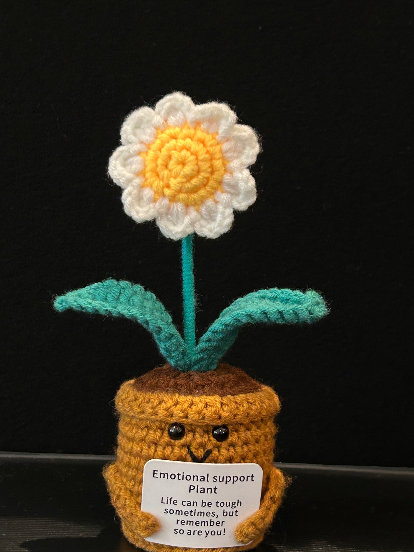 Emotional Support Plant (Daisy)