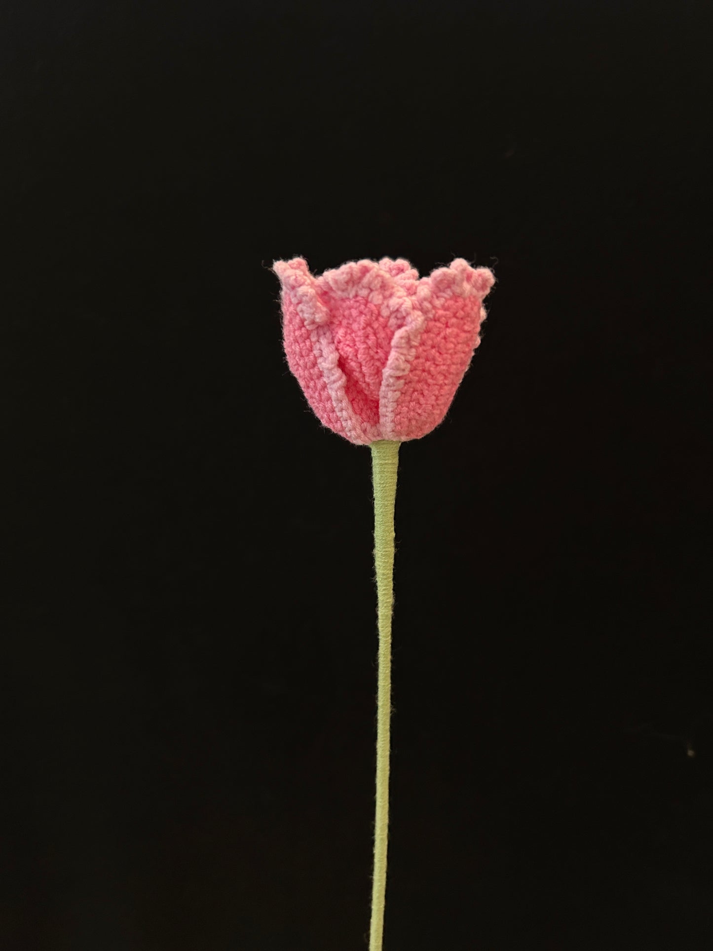 Tulip (Curly Petal)