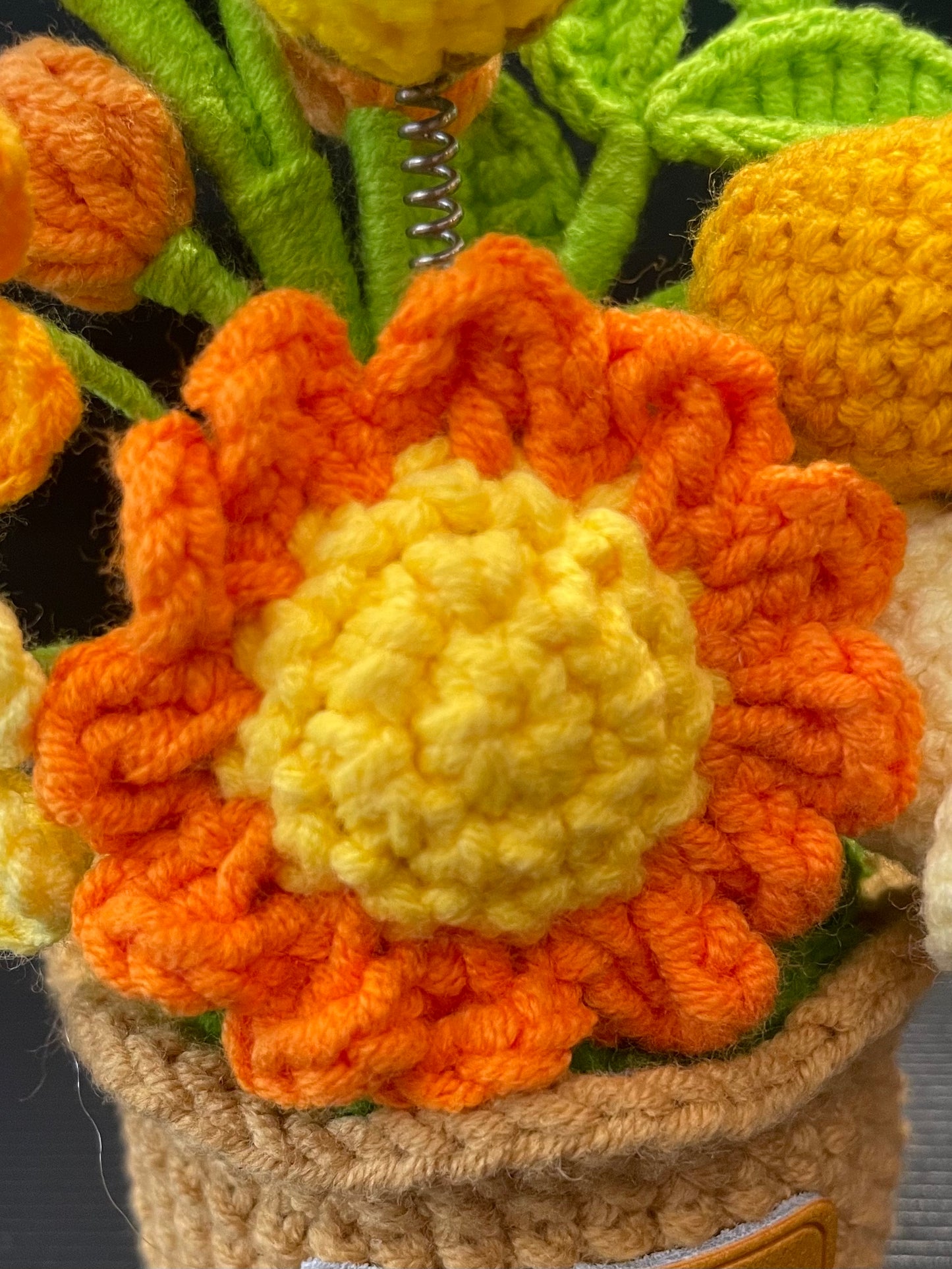 Handmade Crochet Flower Pot —— Flowers & Bee