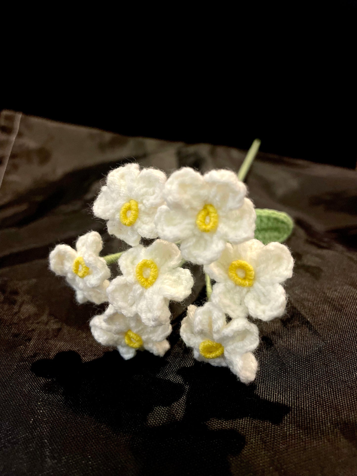 Forget-me-not