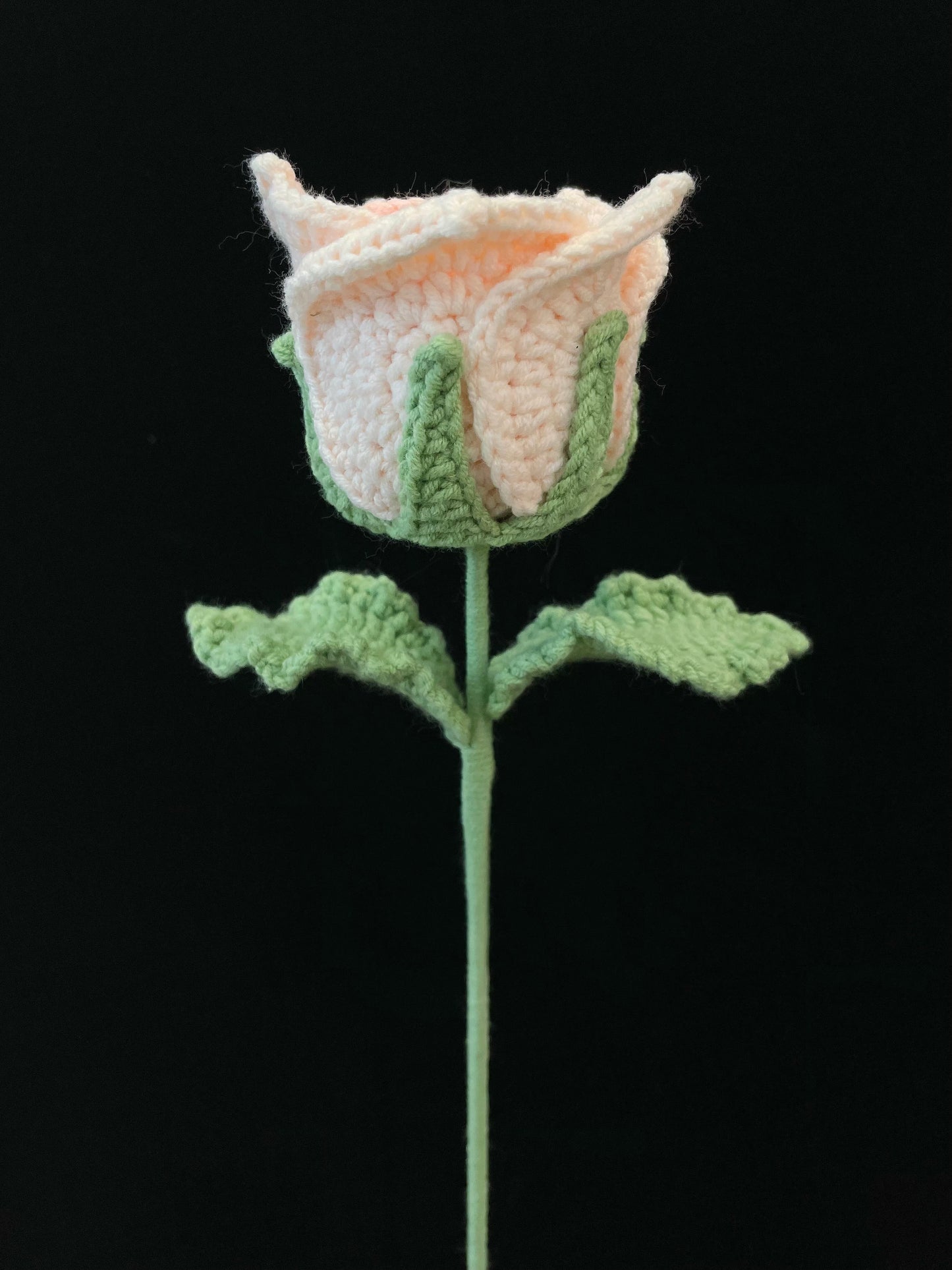 Thai Rose