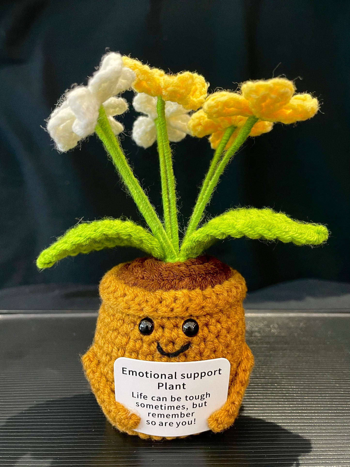 Emotional Support Plant (Foget-me-not)